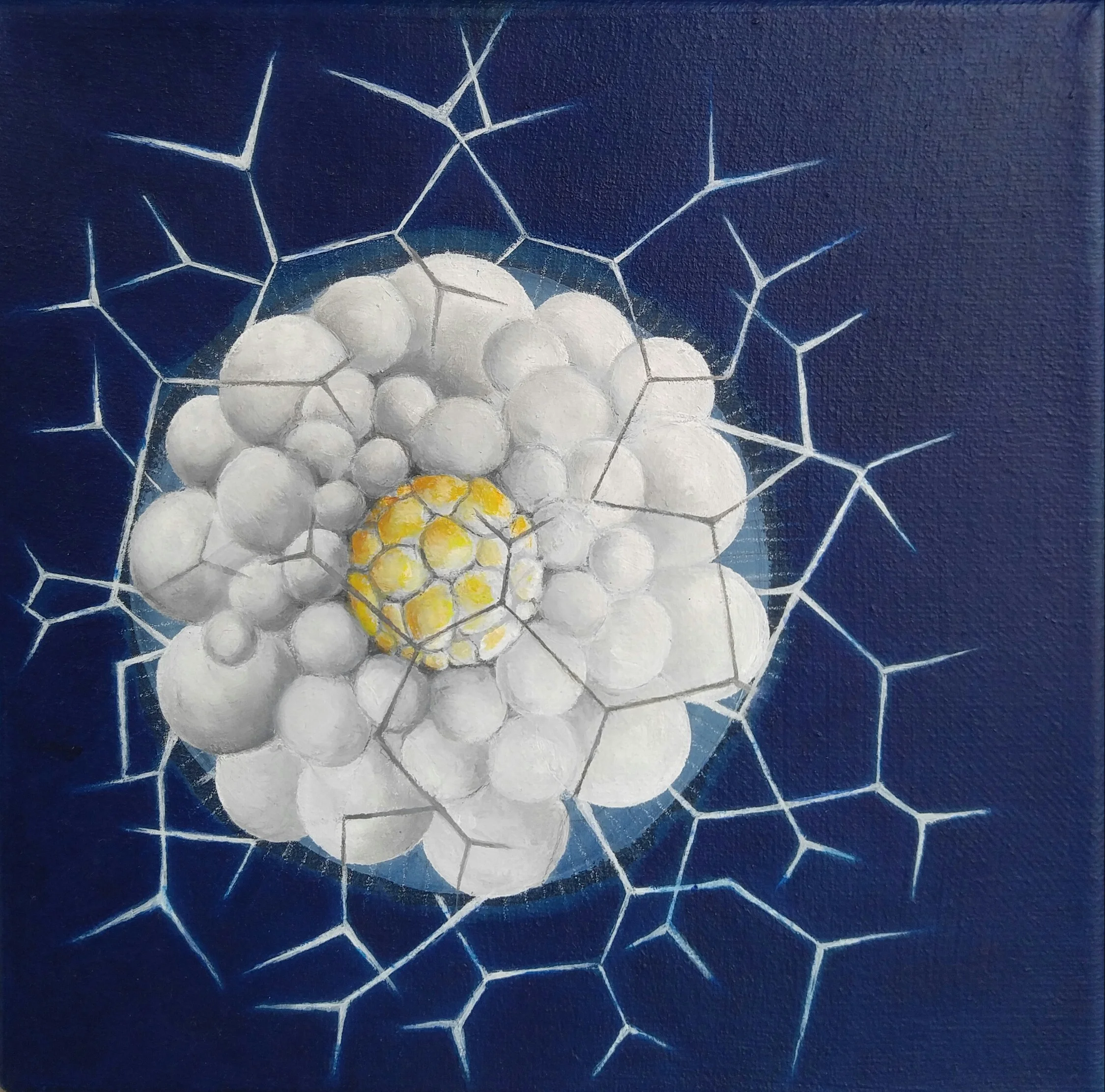 SINGLE CELL ORGANISM Study SCO # 1 Oil on Canvas 8" x 8" 