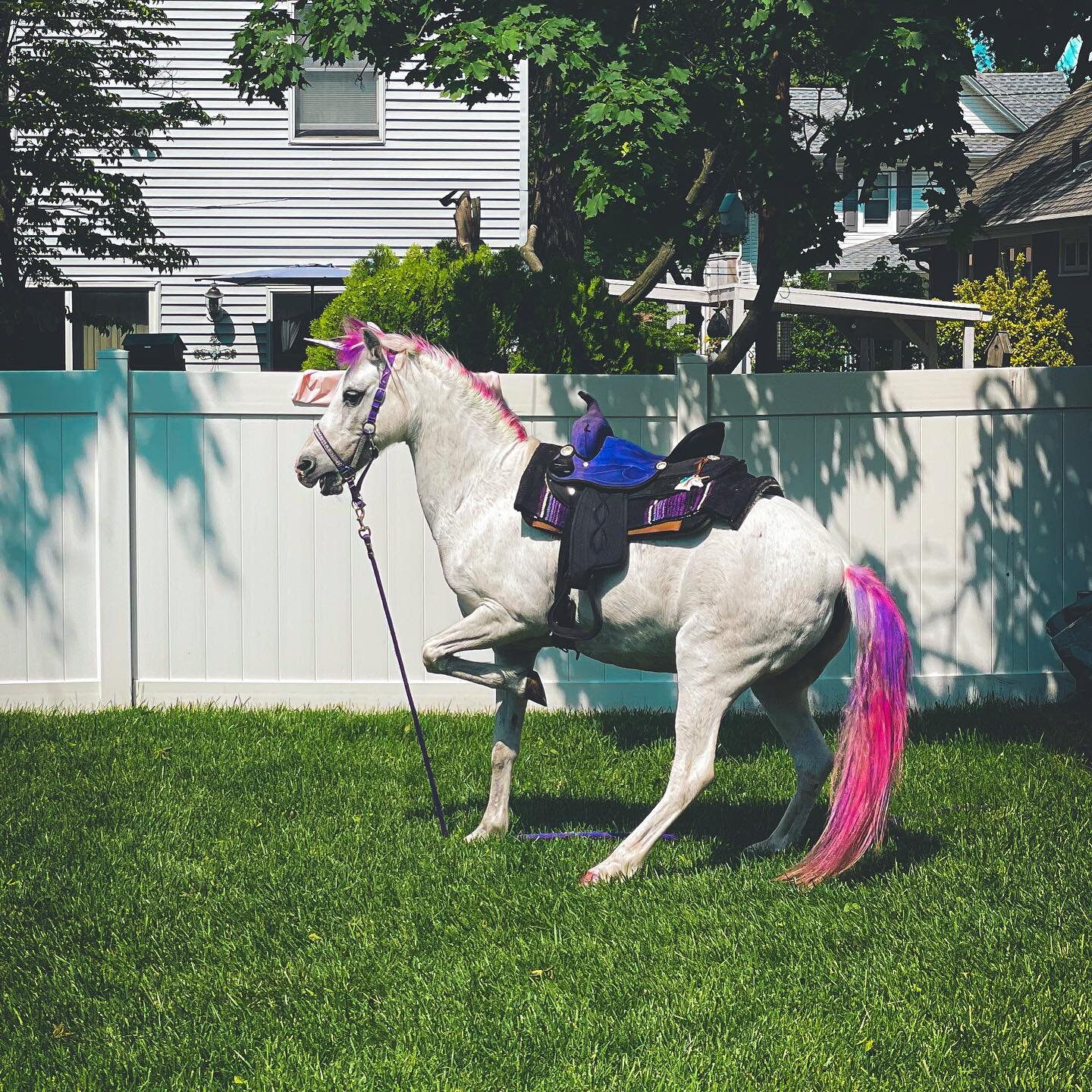 🦄Backyard Unicorn🦄
.
.
.
.
.
#unicorn #unicorns #rainbow #unicornparty #unicornlove #unicornio #pink #birthday #unicornstuff #unicornlovers #instagood #unicornlife #unicornios #kidsparty #glitter #instagram #pony