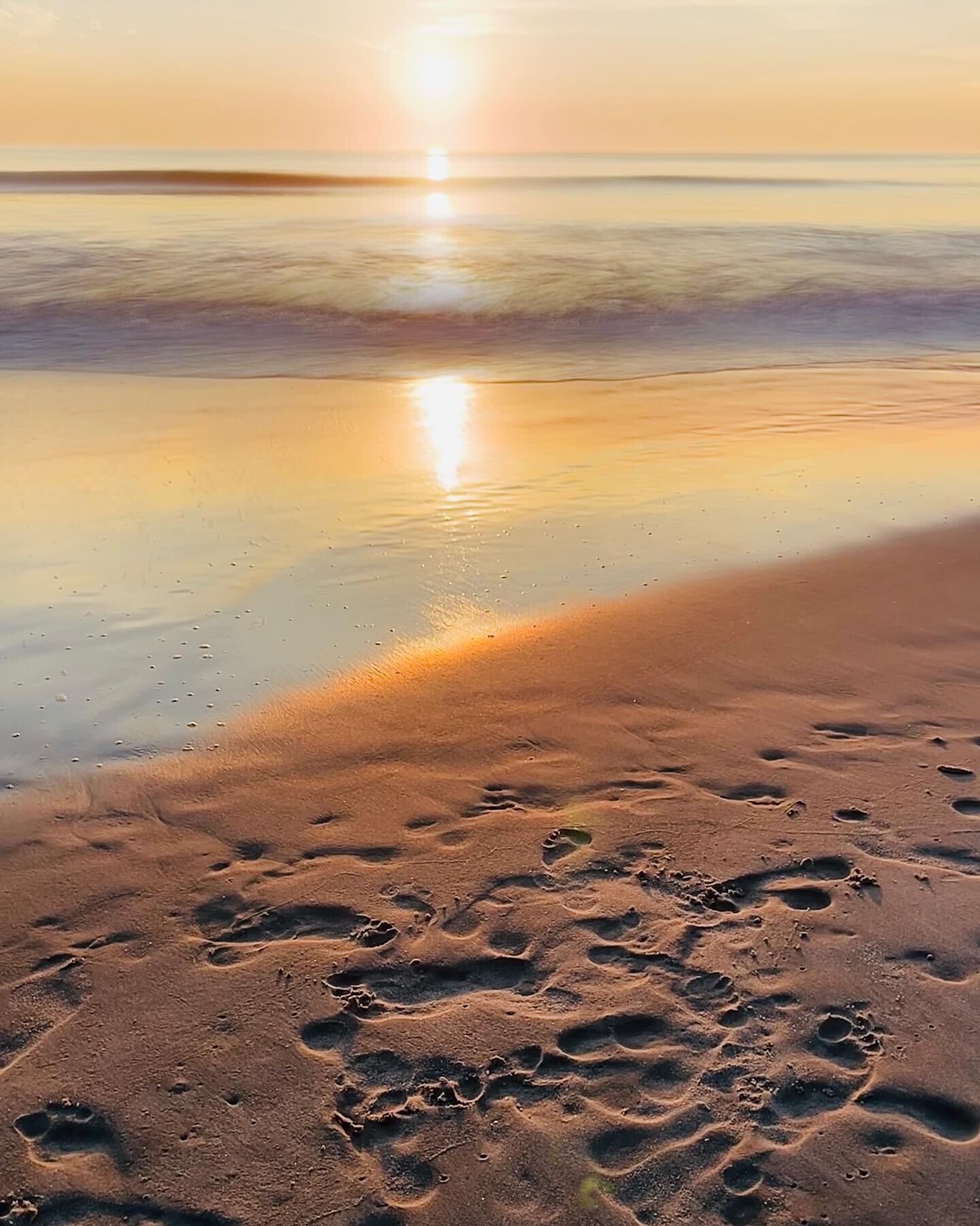 🌅 
.
.
.
.
#sunrise#sun#beach#ocean#sea#obx#outerbanks#instagram#instagood#instamood