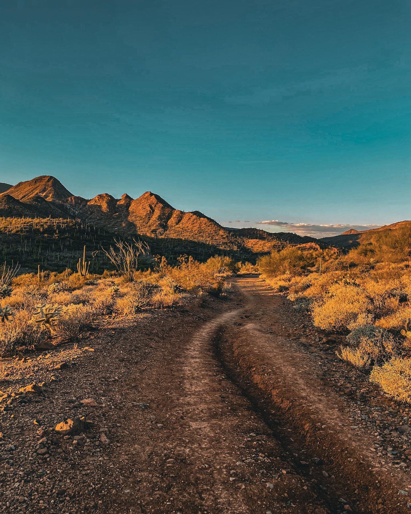 Trail
.
.
.
.
.
.
.
#landscapephotography #landscape #arizonahiking #arizona🌵 #arizona #mountains #desert #travel #hike #explore #instagram #instagood #instamood #arizona_hiking #nature #travelgram #vacation #trip #travel