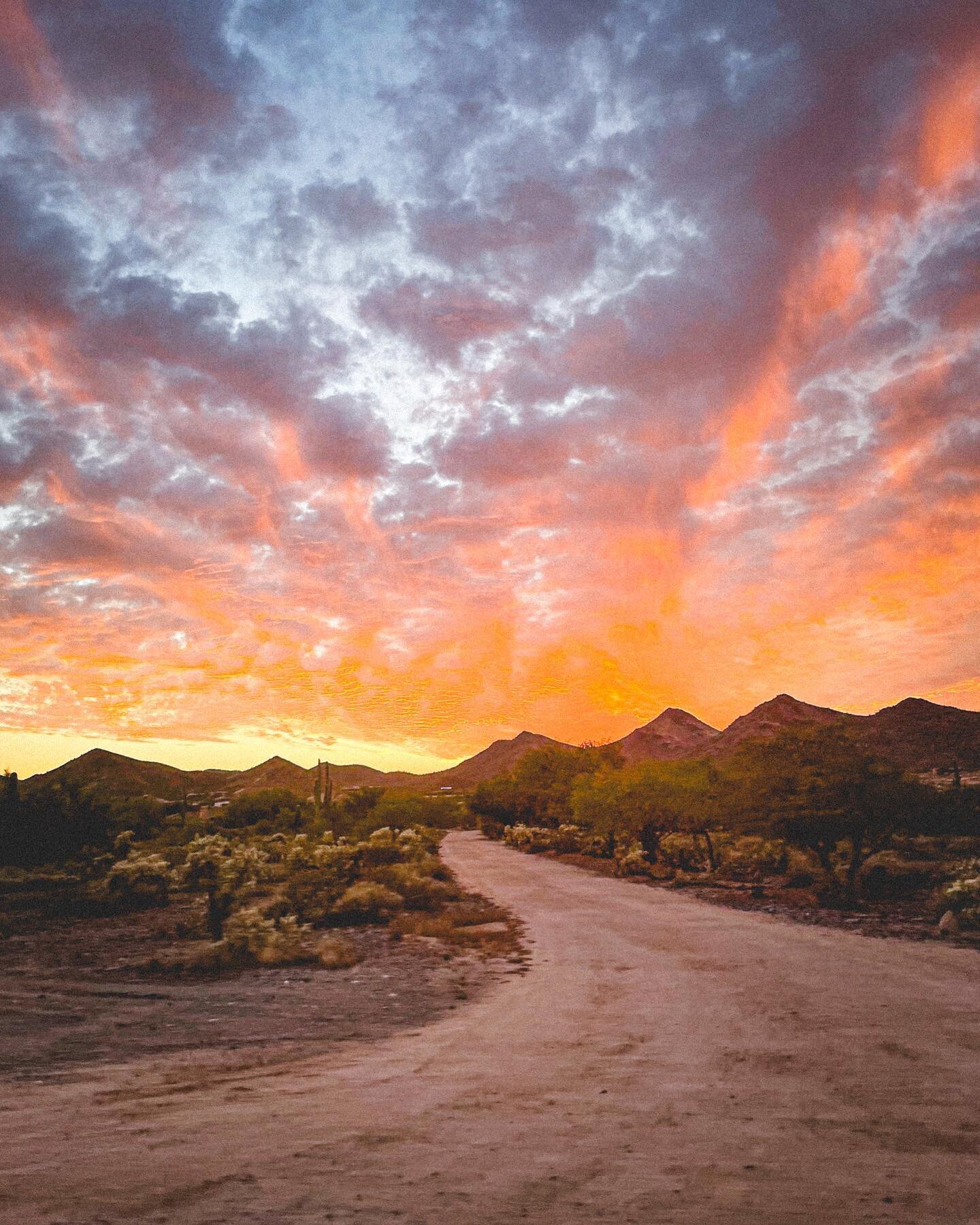 The Path
.
.
.
.
.
#sunset #sunsetphotography #sunsetlovers #arizona #arizonahiking #desert #hike #travel #landscapephotography #landscape #arizonadesert #phoenix #phoenixarizona #collectmag #gominimalmag