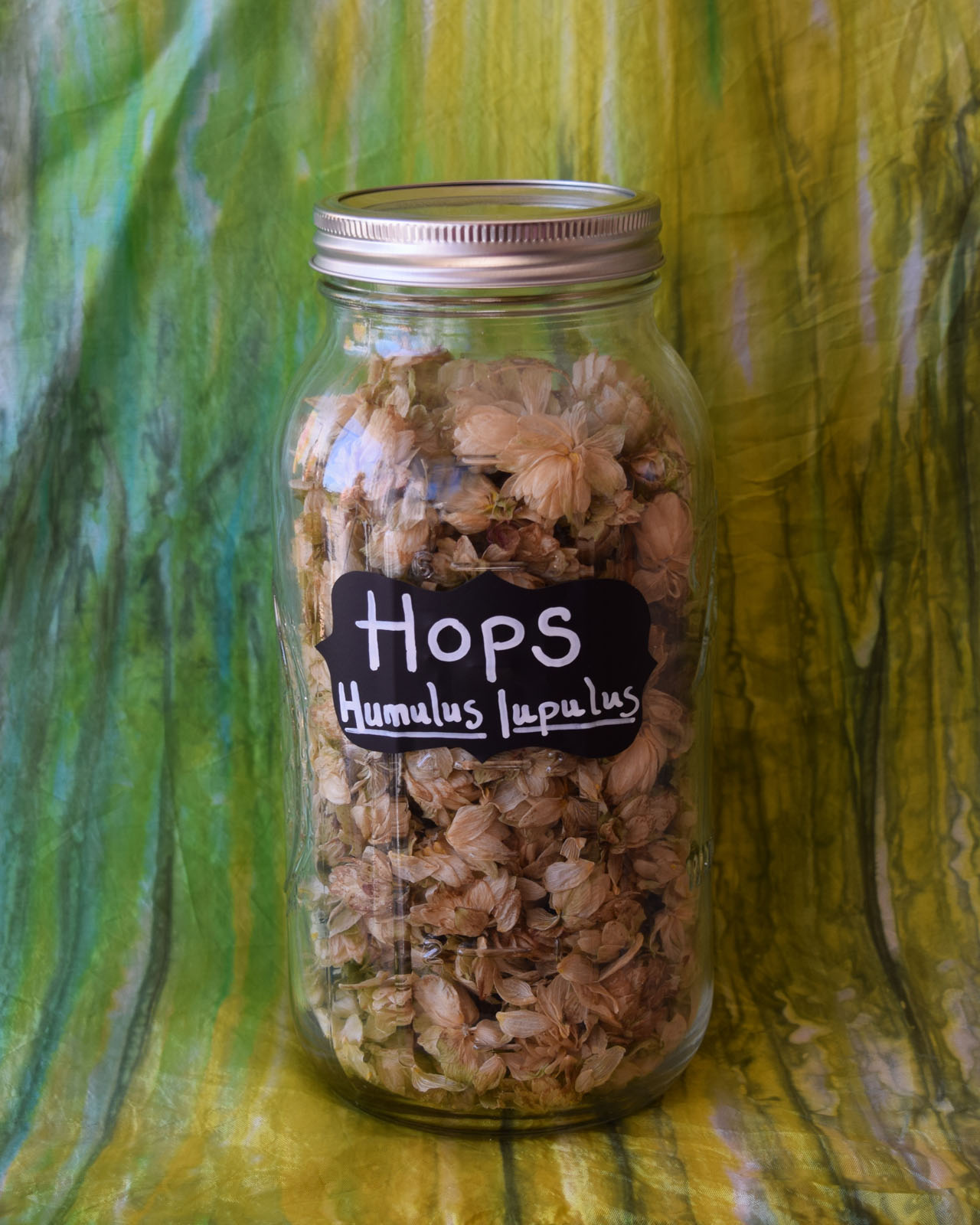 Hops strobile*