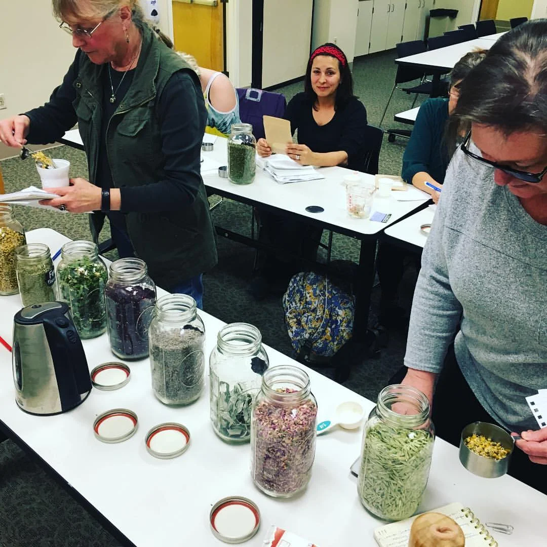 Herbal Oils & Salves