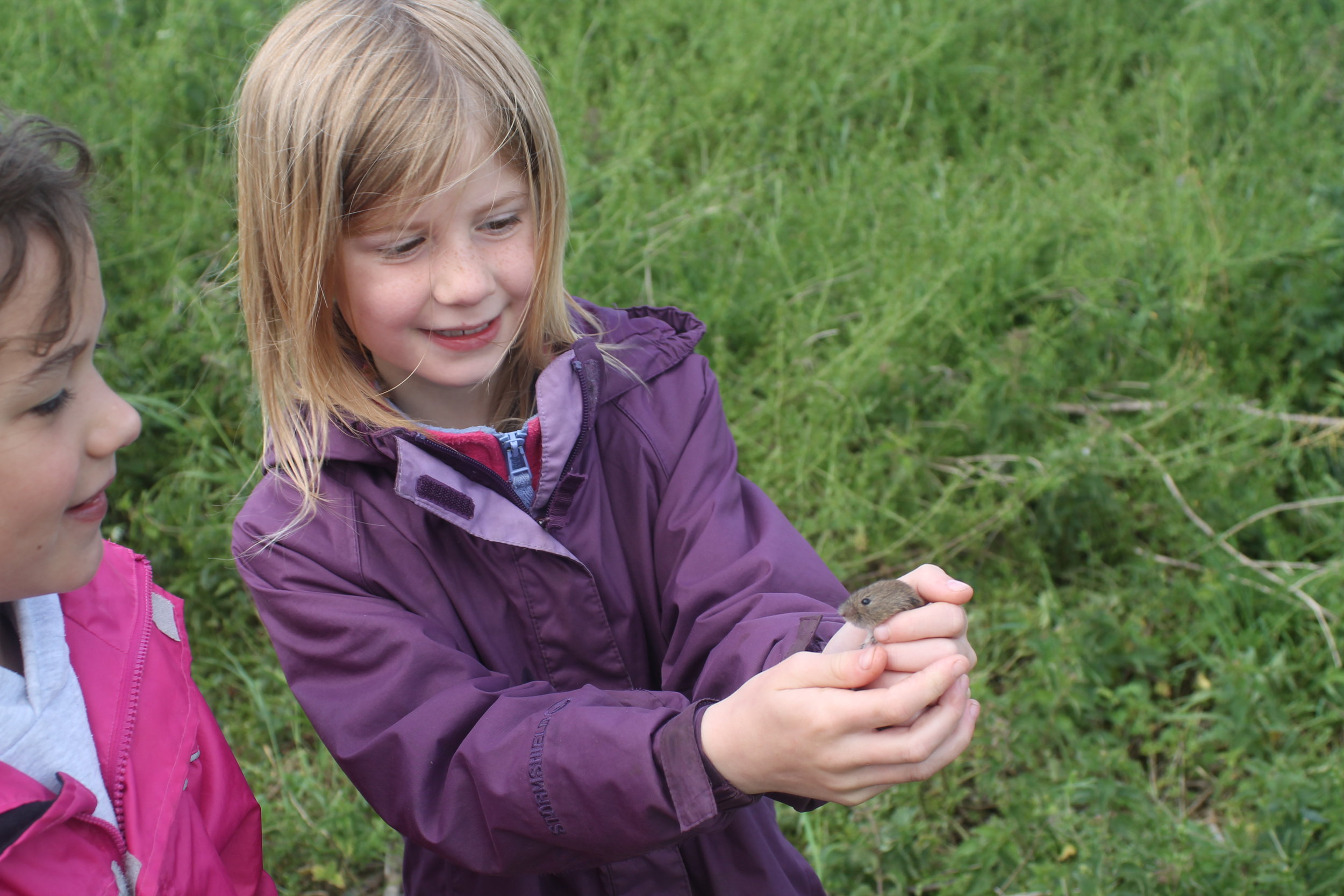 Small mammal trapping