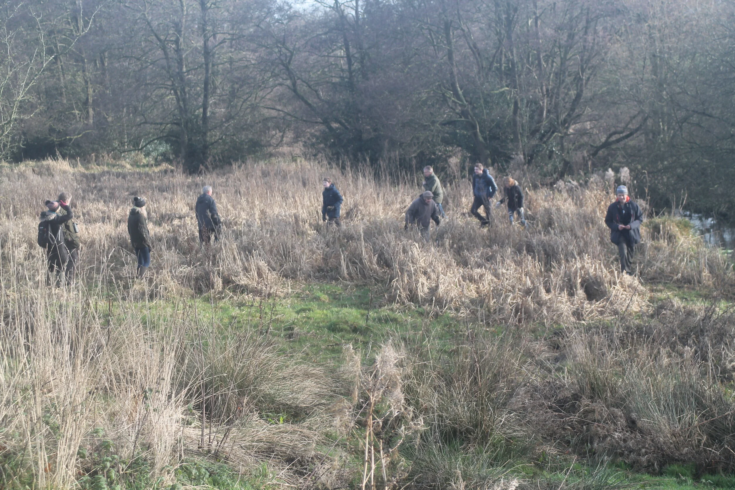 Harvest Mouse Survey Training Doxey Marshes