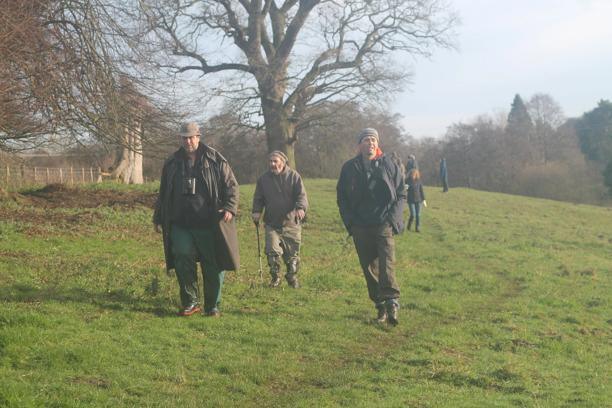 March Hare survey - Madeley