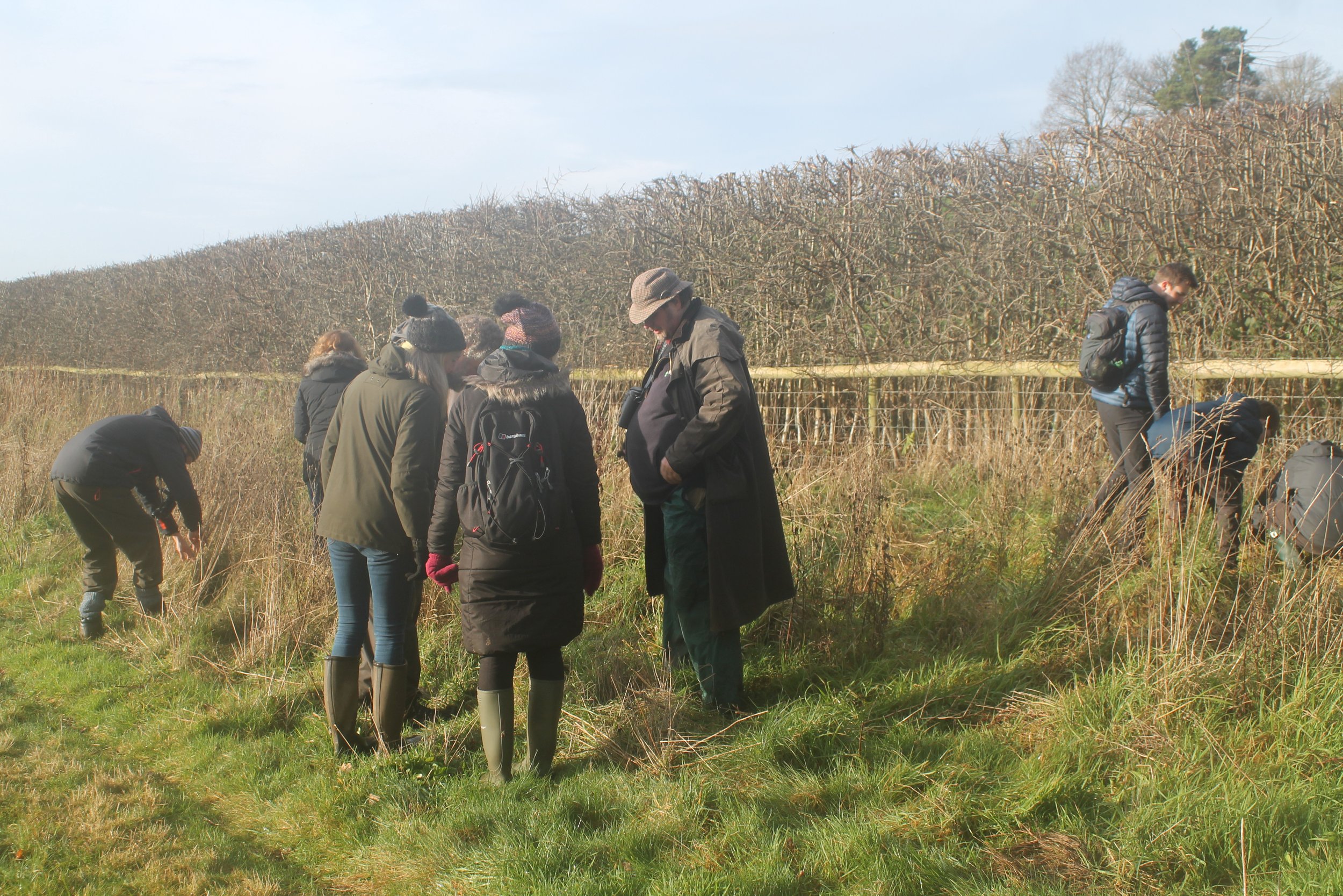 An evening at&nbsp;Doxey&nbsp;Marshes