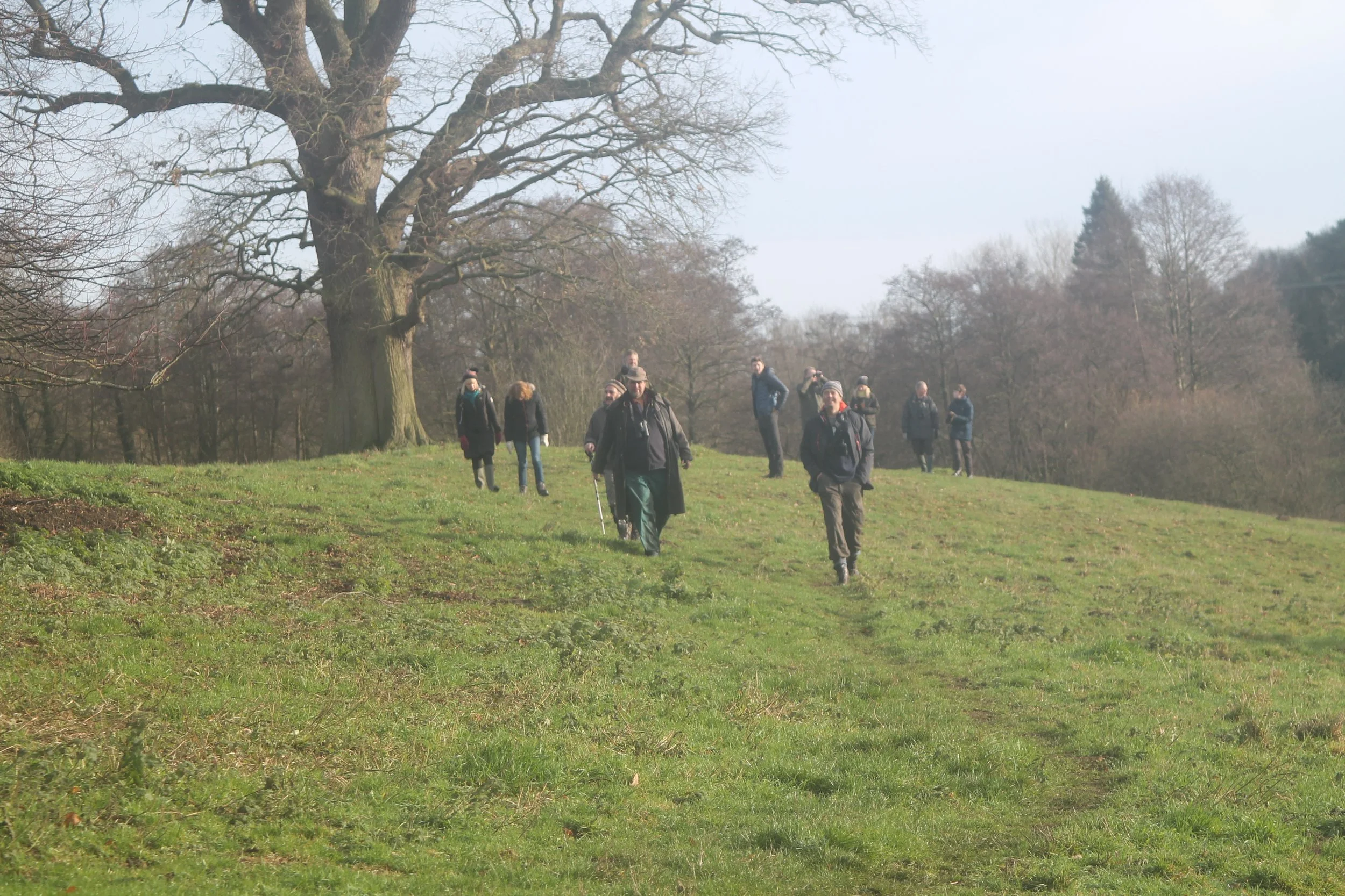 March Hares  Aqualate