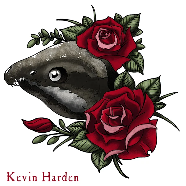 SALMON.ROSE.100.jpg