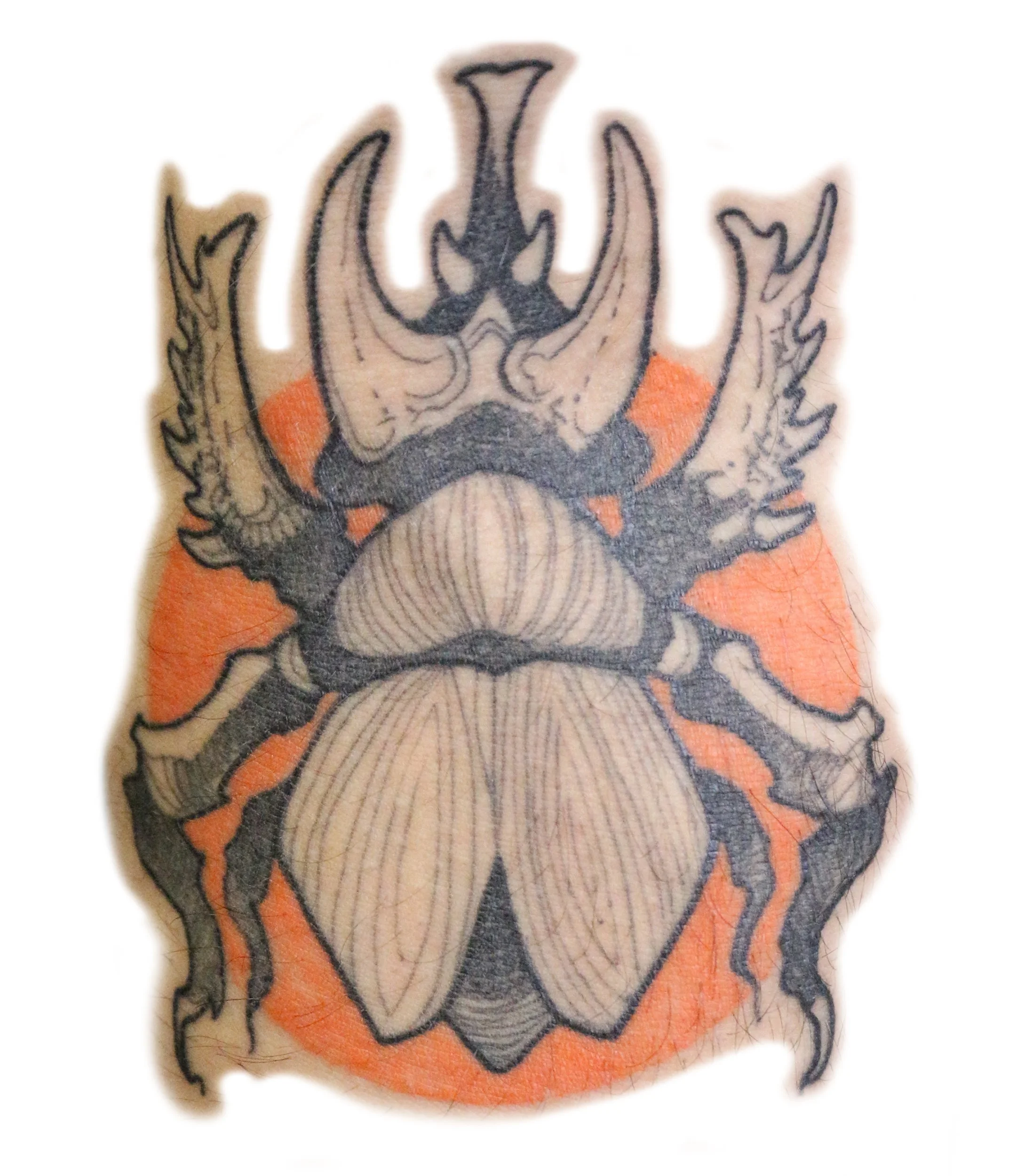 Jerry.Bug.Alaska.tattoo.AKTATTOO.anchorage.studio.jpg