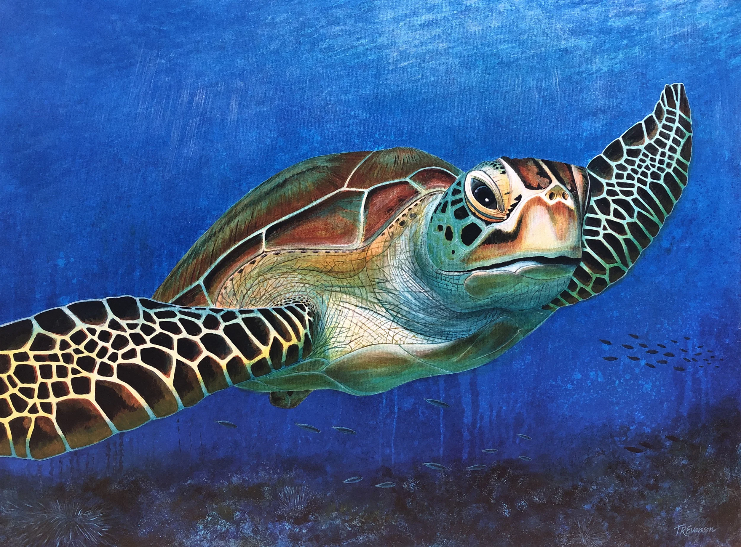 Tortuga Verde