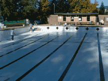 ParadisePoolAfterTN.gif