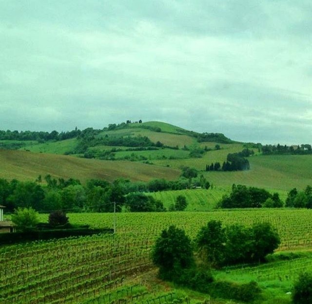 Our tour through Tuscany could help you learn useful new words!