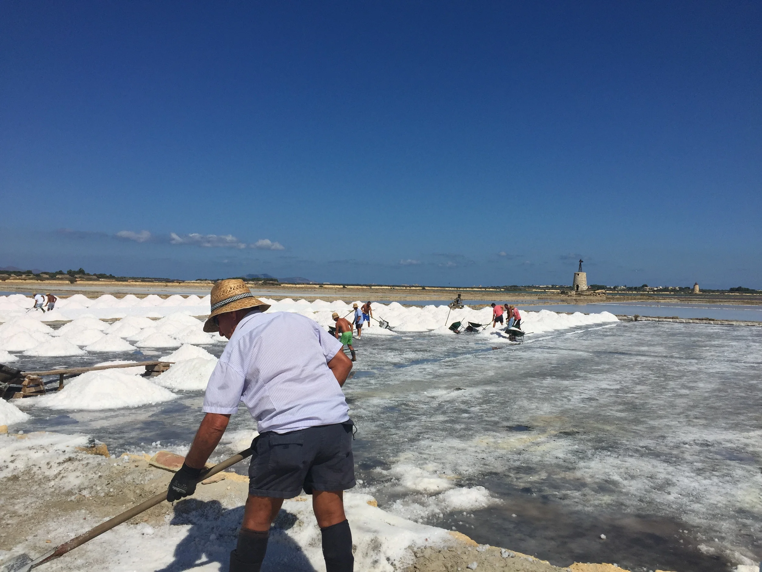 Helping out in a Sicilian Salt Marsh for the day!