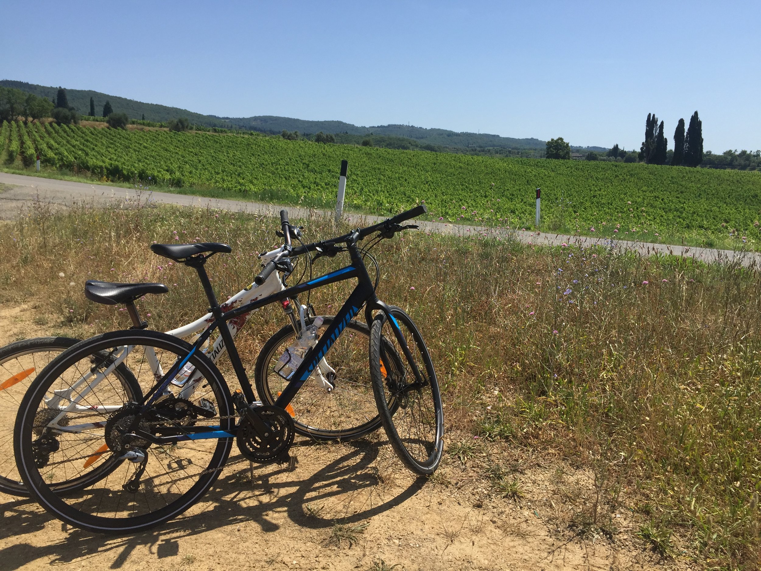 Biking in chianti 