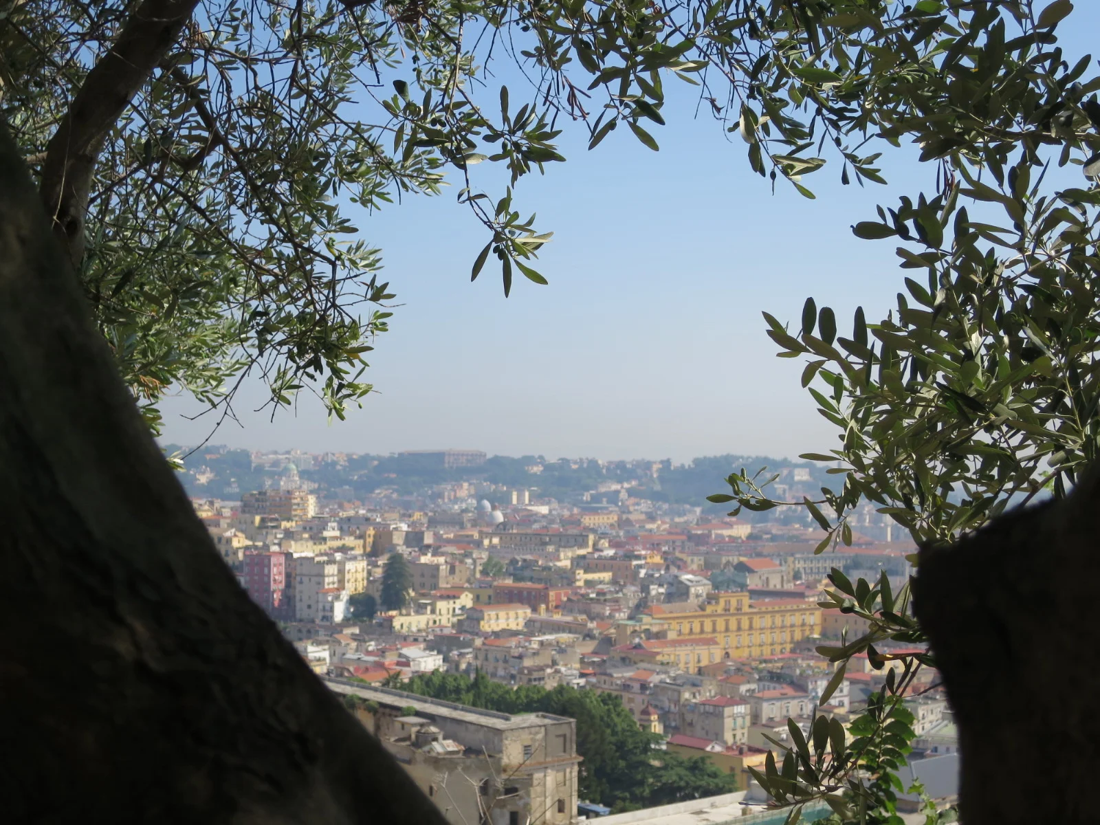 Napoli from just a few steps above the city | Pic Courtesy of Icons Wanted