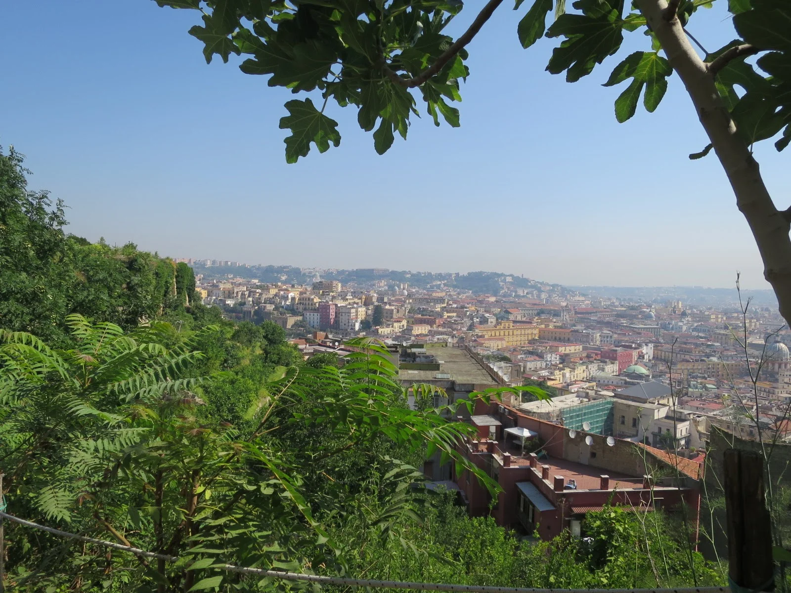 Every angle of this location had a new exciting view of this breathtaking city | Pic Courtesy of Icons Wanted