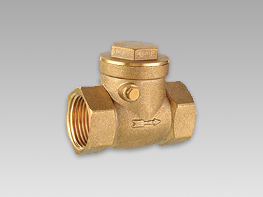 Check Valves