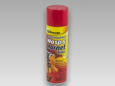 Wasp & Hornet Spray