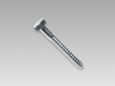 Lag Screws