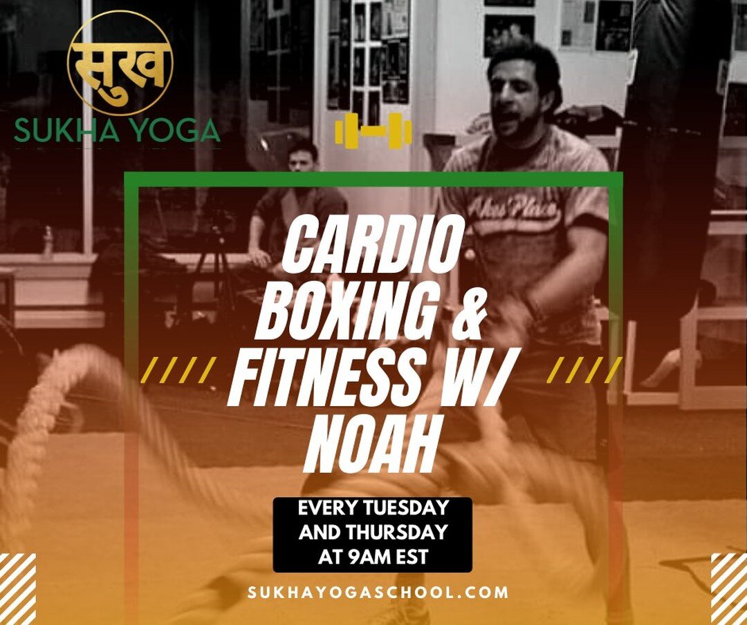 Hey everyone! Lots of people have asked for me (Noah) to add a cardio boxing and fitness style class so here we go. I know it's cold up there and it might be nice to get some activity in if you're not getting enough movement. No experience necessary.