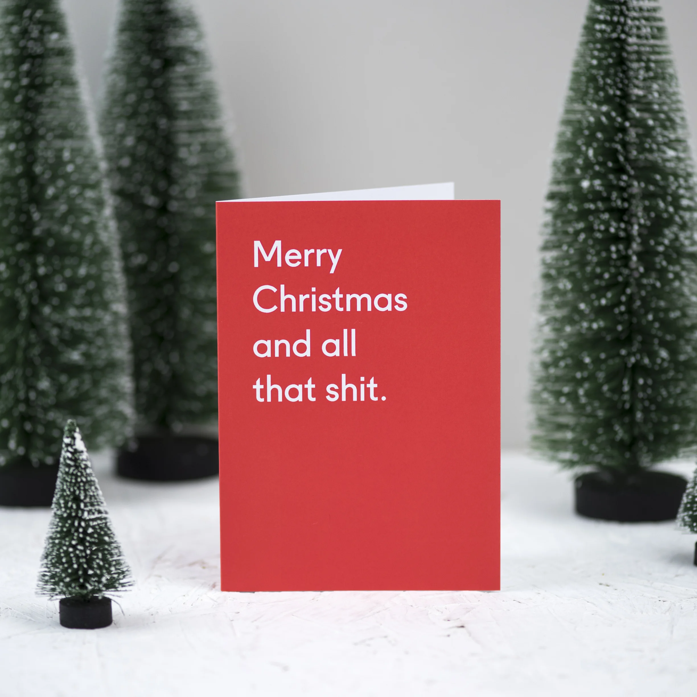 TPGC-XMSHT_MerryChristmasAndAllThatShit-6.jpg