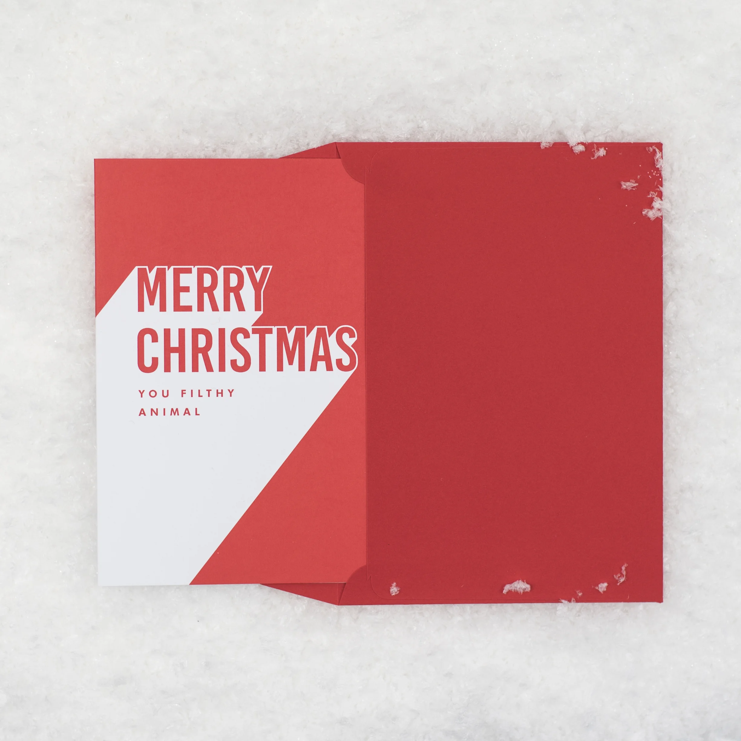 TPGC-XMFAN_MerryChristmasYouFiltyAnimal-11.jpg