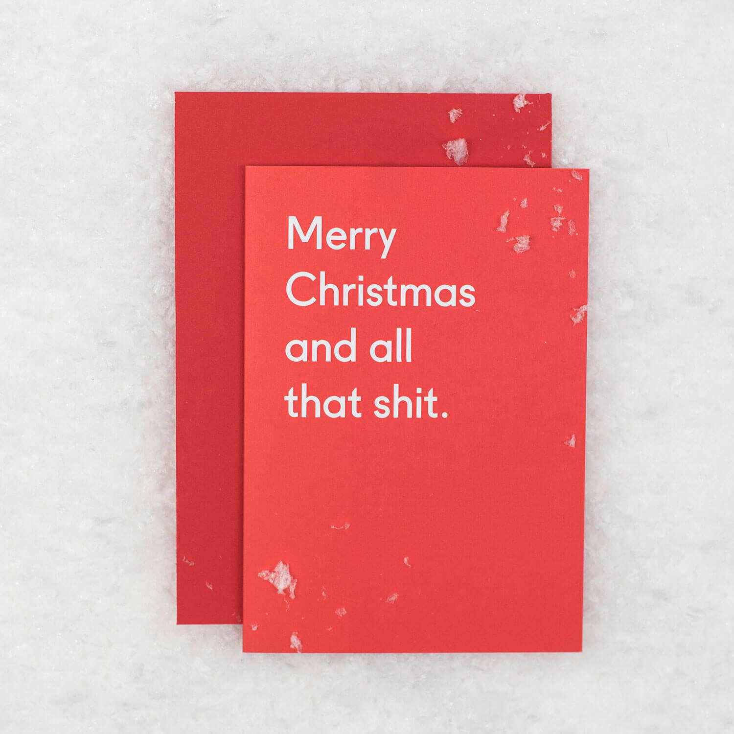 TPGC-XMSHT_MerryChristmasAndAllThatShit_02-SFW.jpg