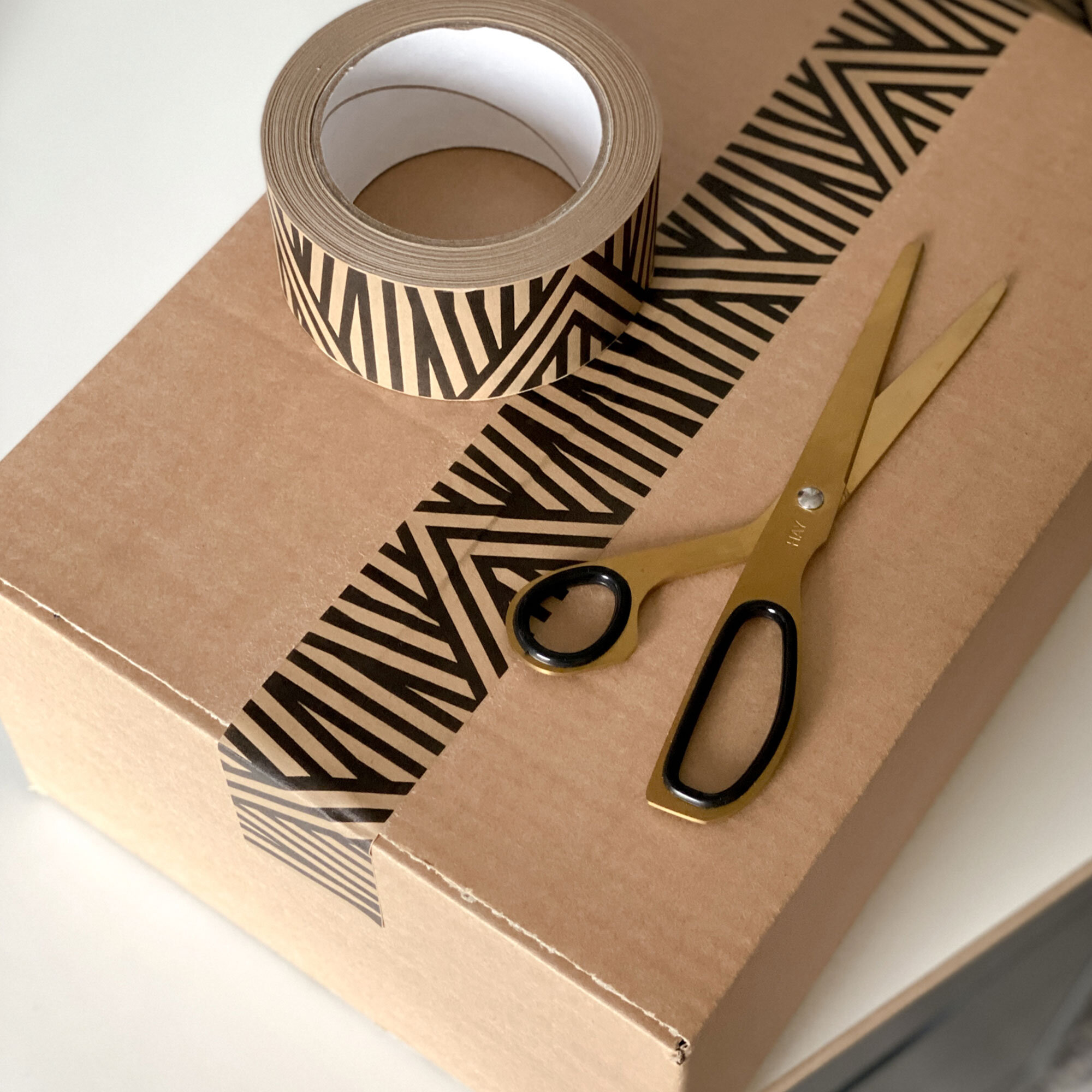 TPPT-ANSTR-AngledStripePaperTape_01-SFW.jpg