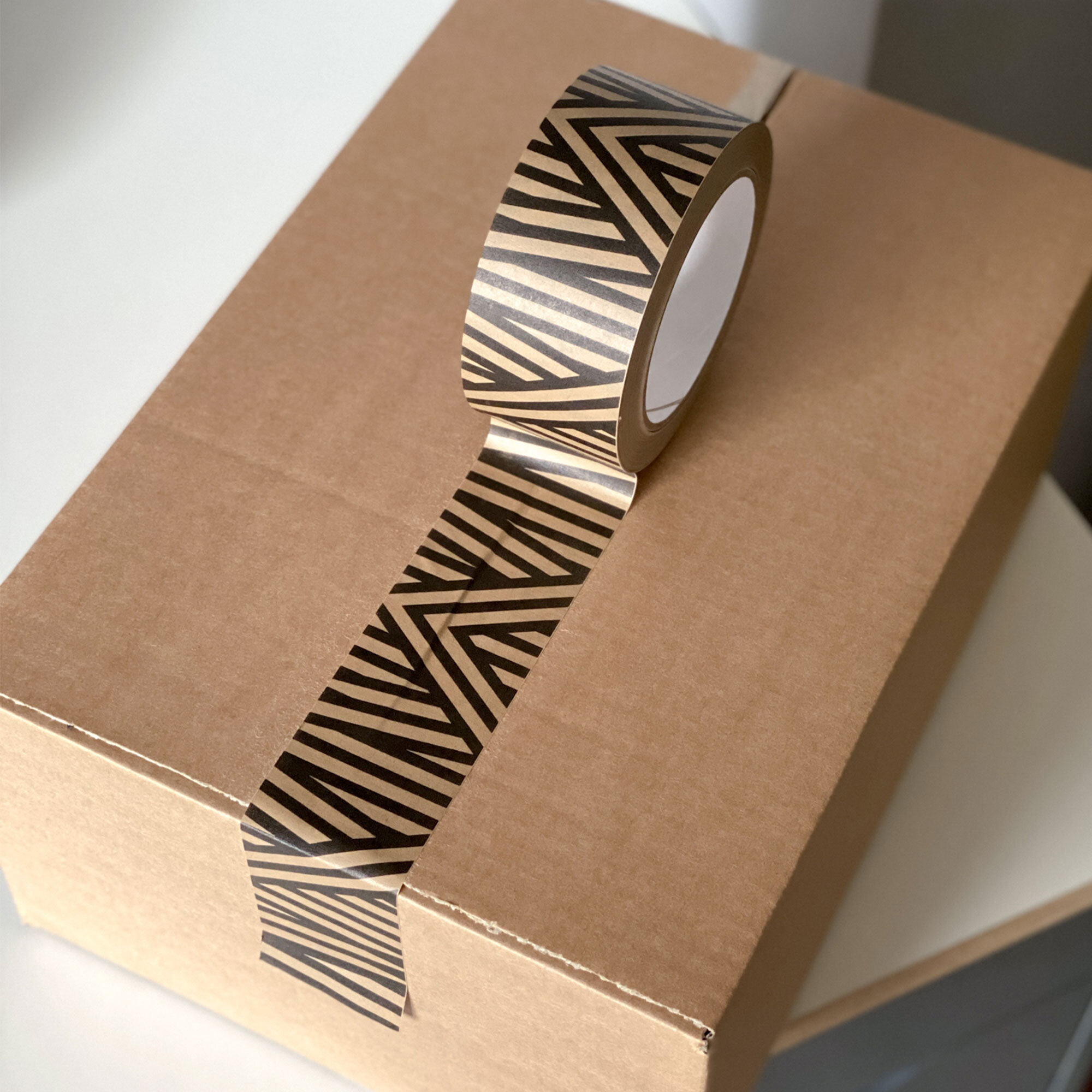TPPT-ANSTR-AngledStripePaperTape_04-SFW.jpg