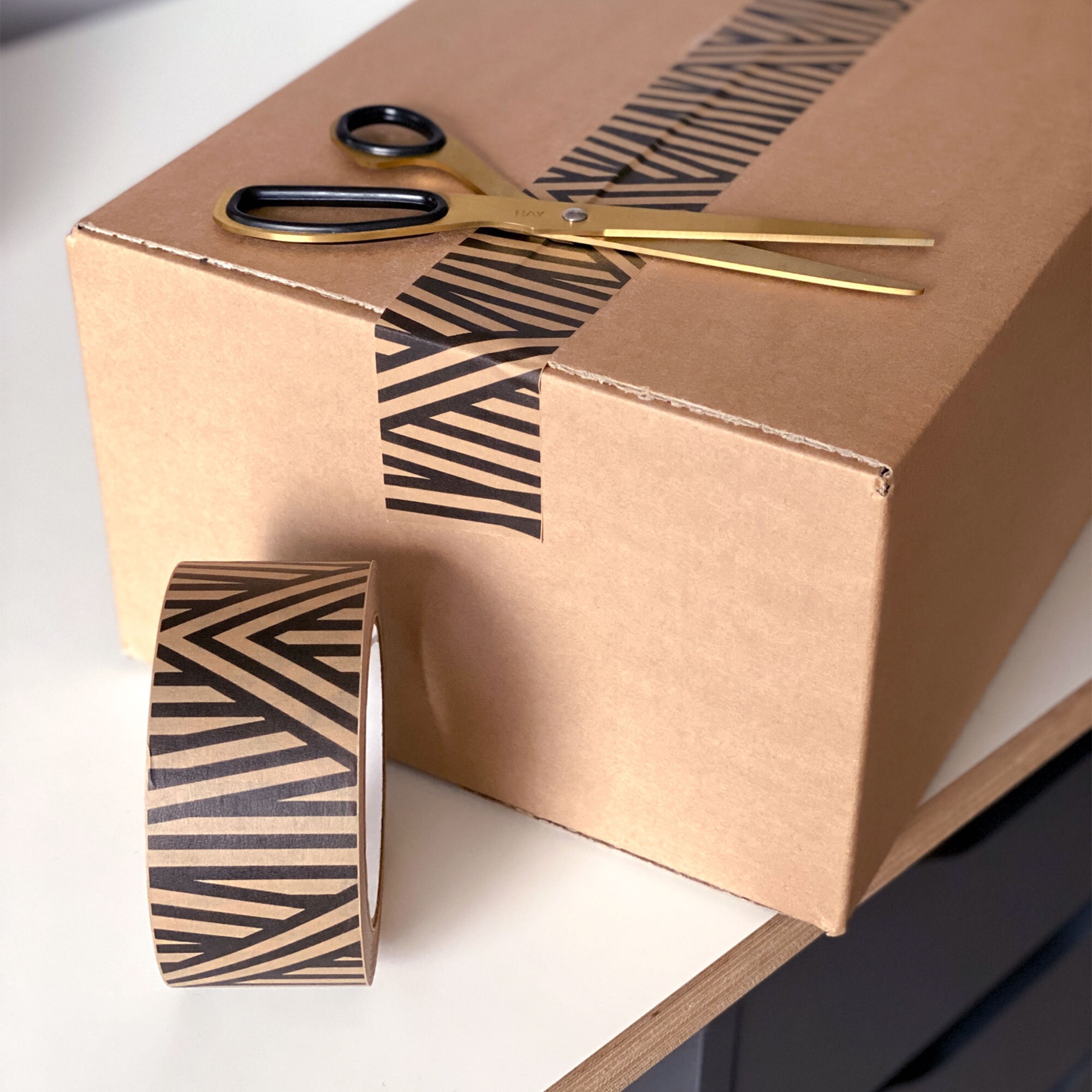 TPPT-ANSTR-AngledStripePaperTape_03-SFW.jpg