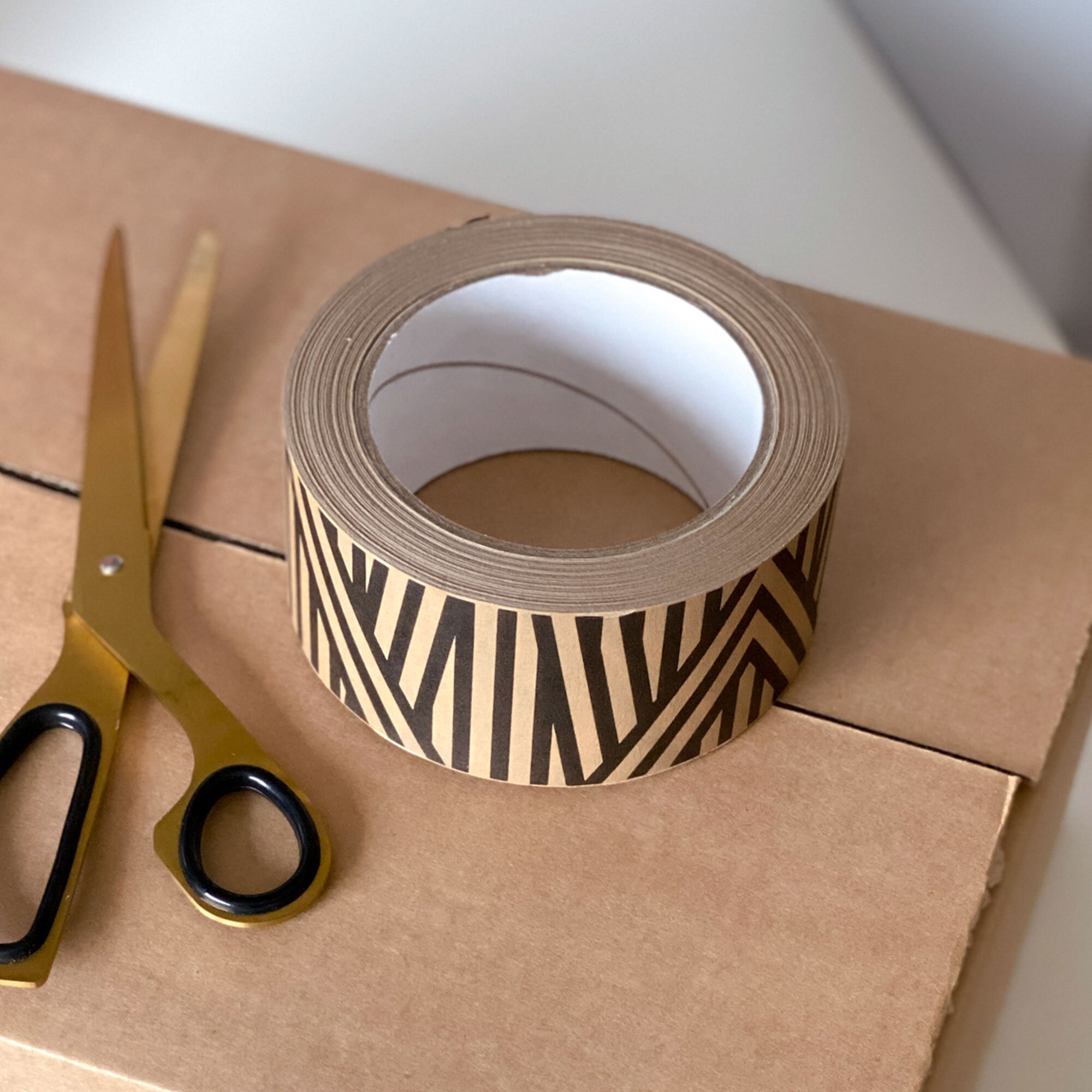 TPPT-ANSTR-AngledStripePaperTape_06-SFW.jpg