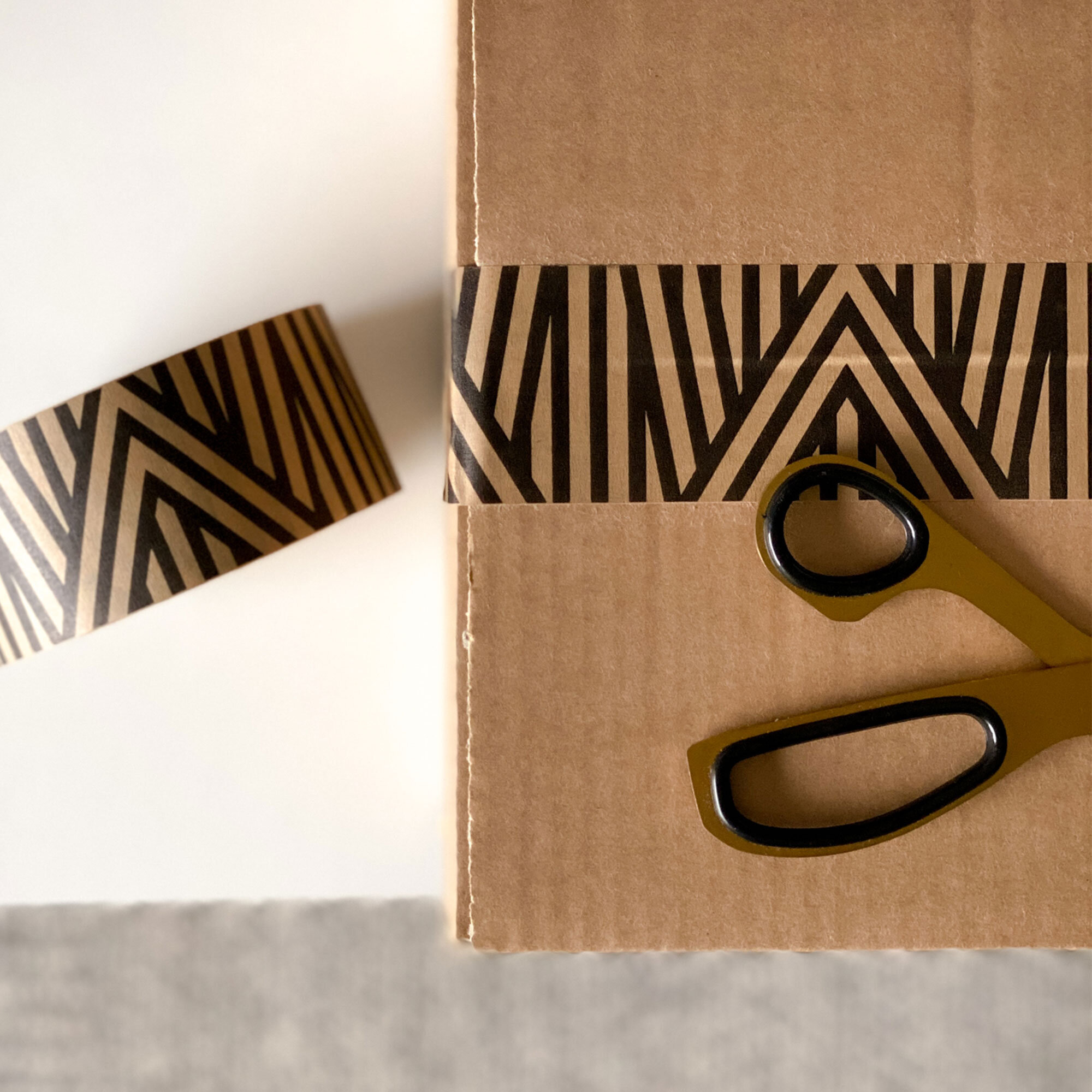 TPPT-ANSTR-AngledStripePaperTape_05-SFW.jpg