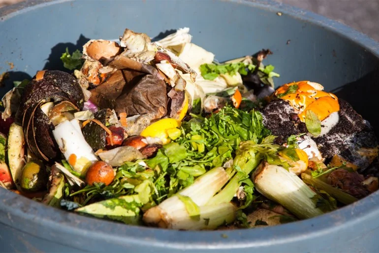 Healthy-eaters-create-more-food-waste.-Heres-what-you-can-do.jpg