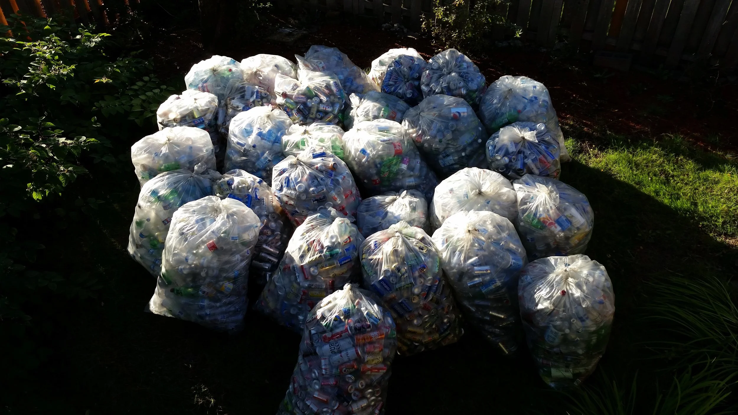 rexputmanbandbottles.jpg