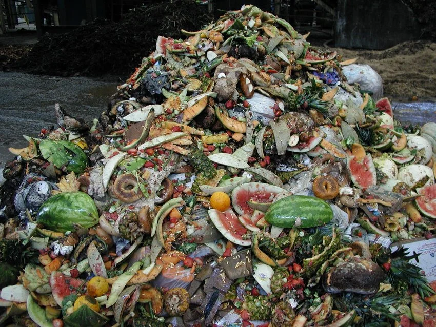 food_scraps_pile.jpg