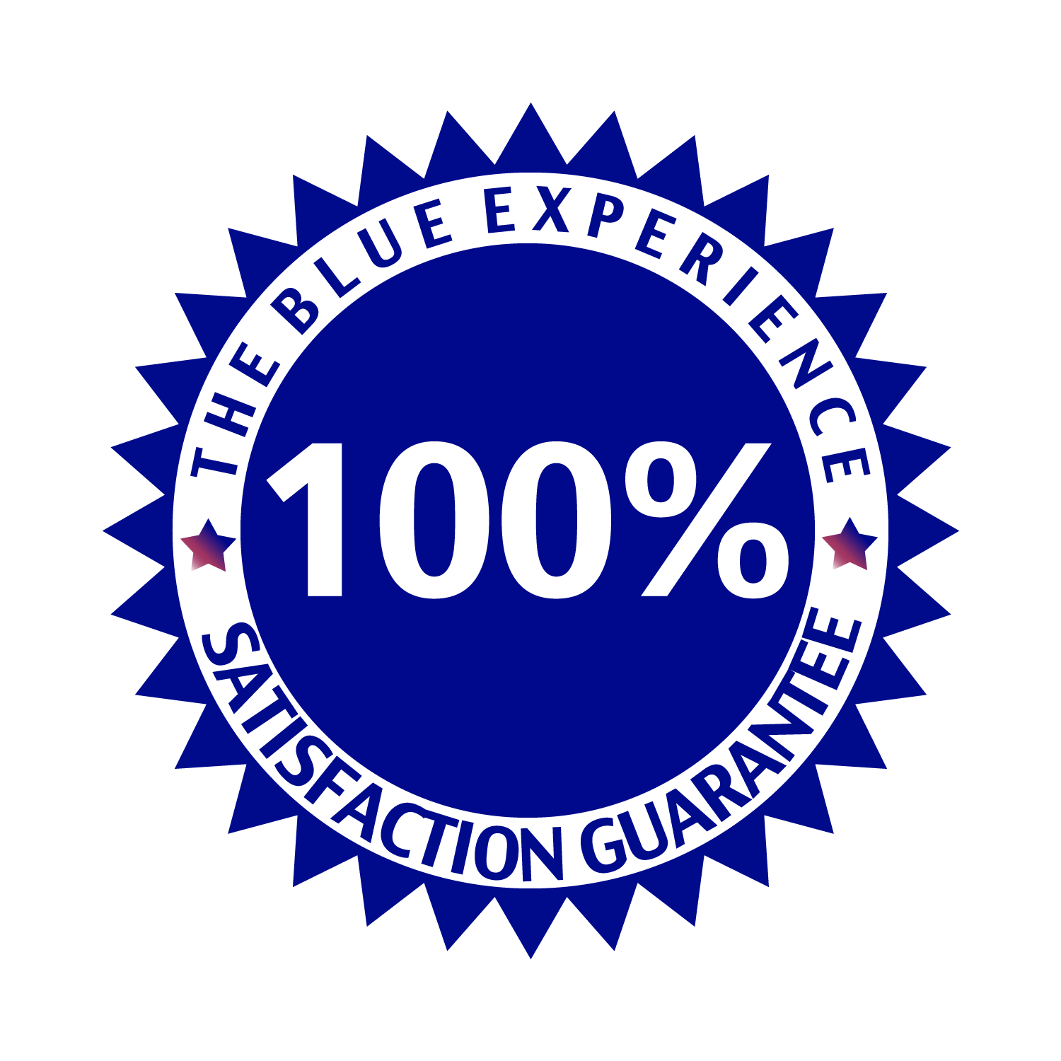 mn blue painting company