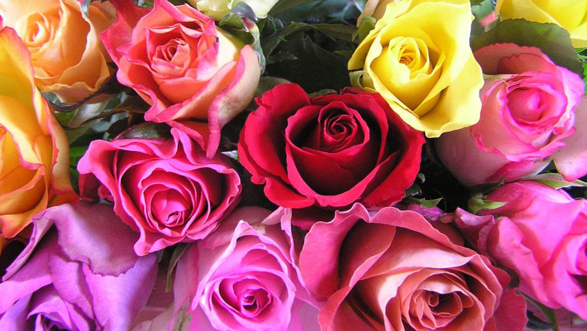 Vday Flowers