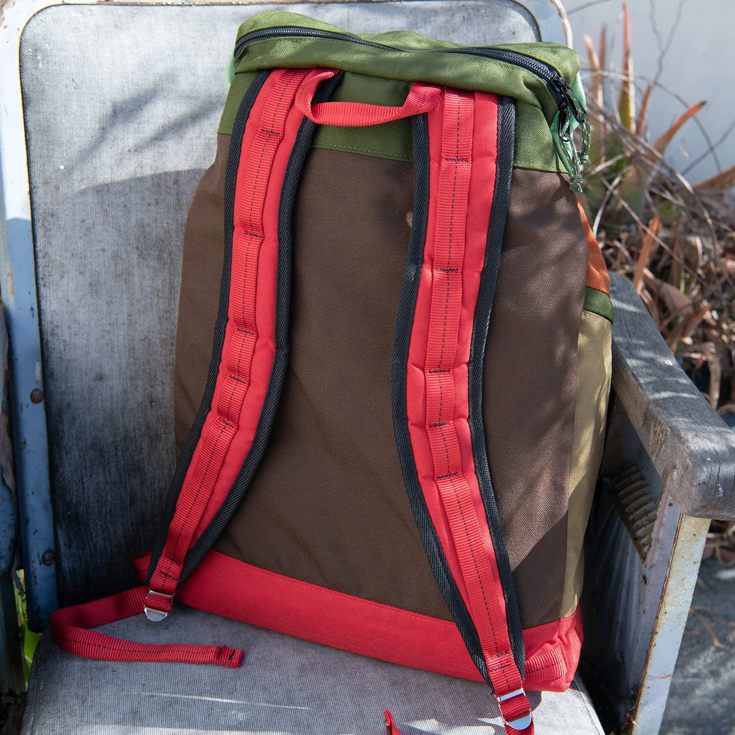 Moss Coffee LCP Back.jpg