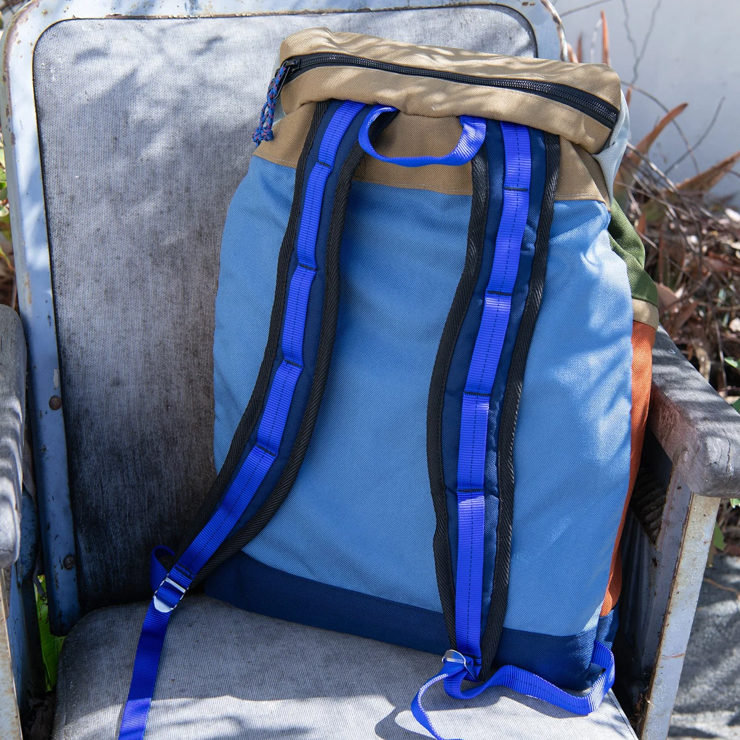 Coyote Blue Skies LCP Back.jpg