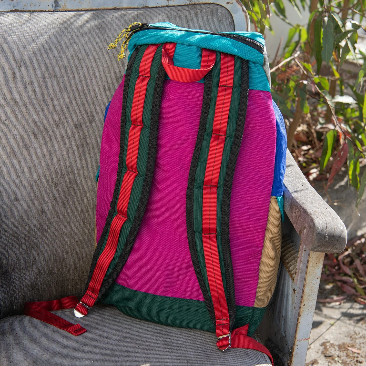 4 Medium Climb Pack Peacock Magenta Back.jpg