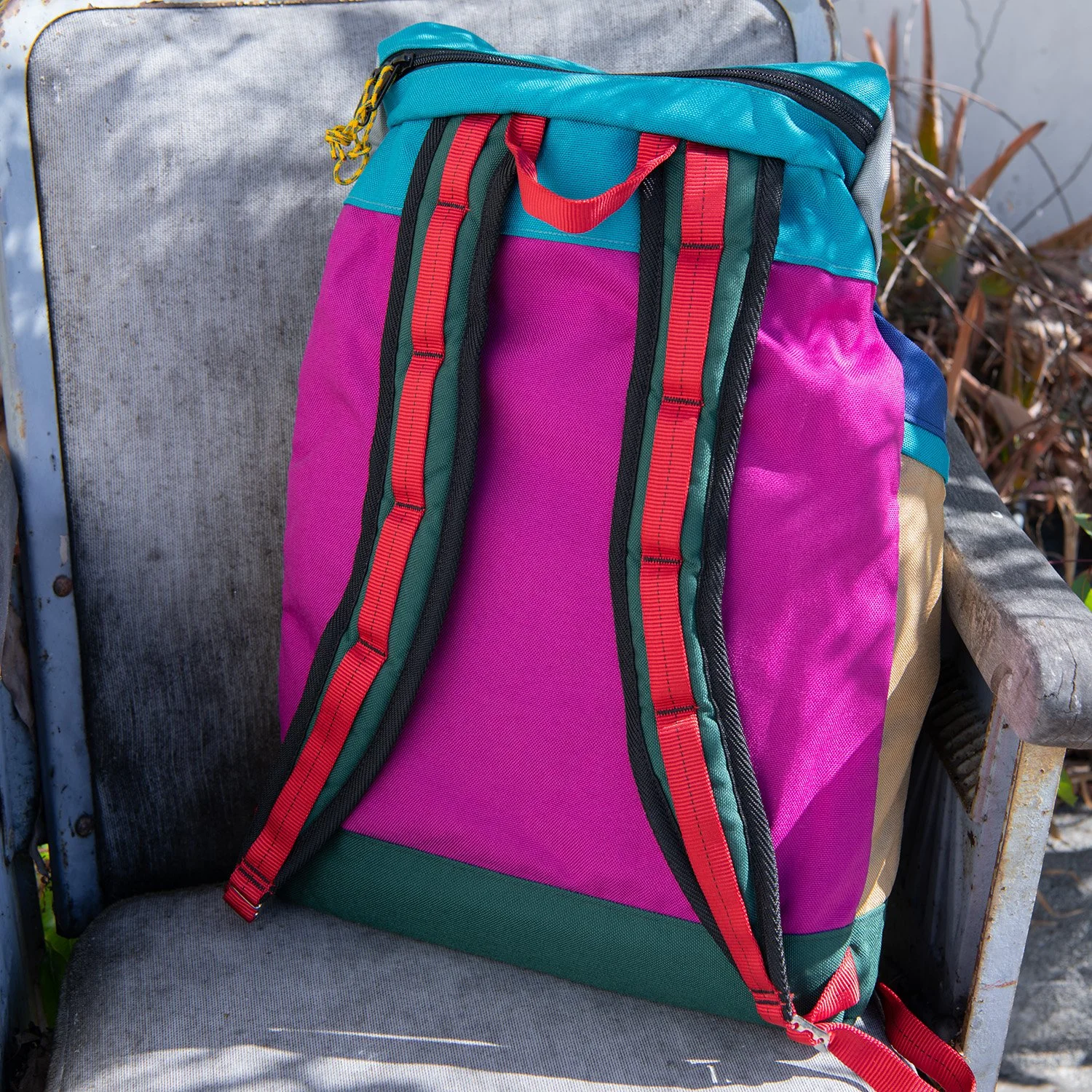 Peacock Fuschia LCP Back.jpg