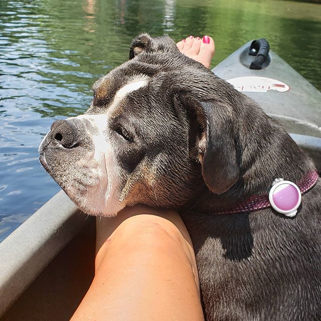 Sweet Betty out on our canoe trip!