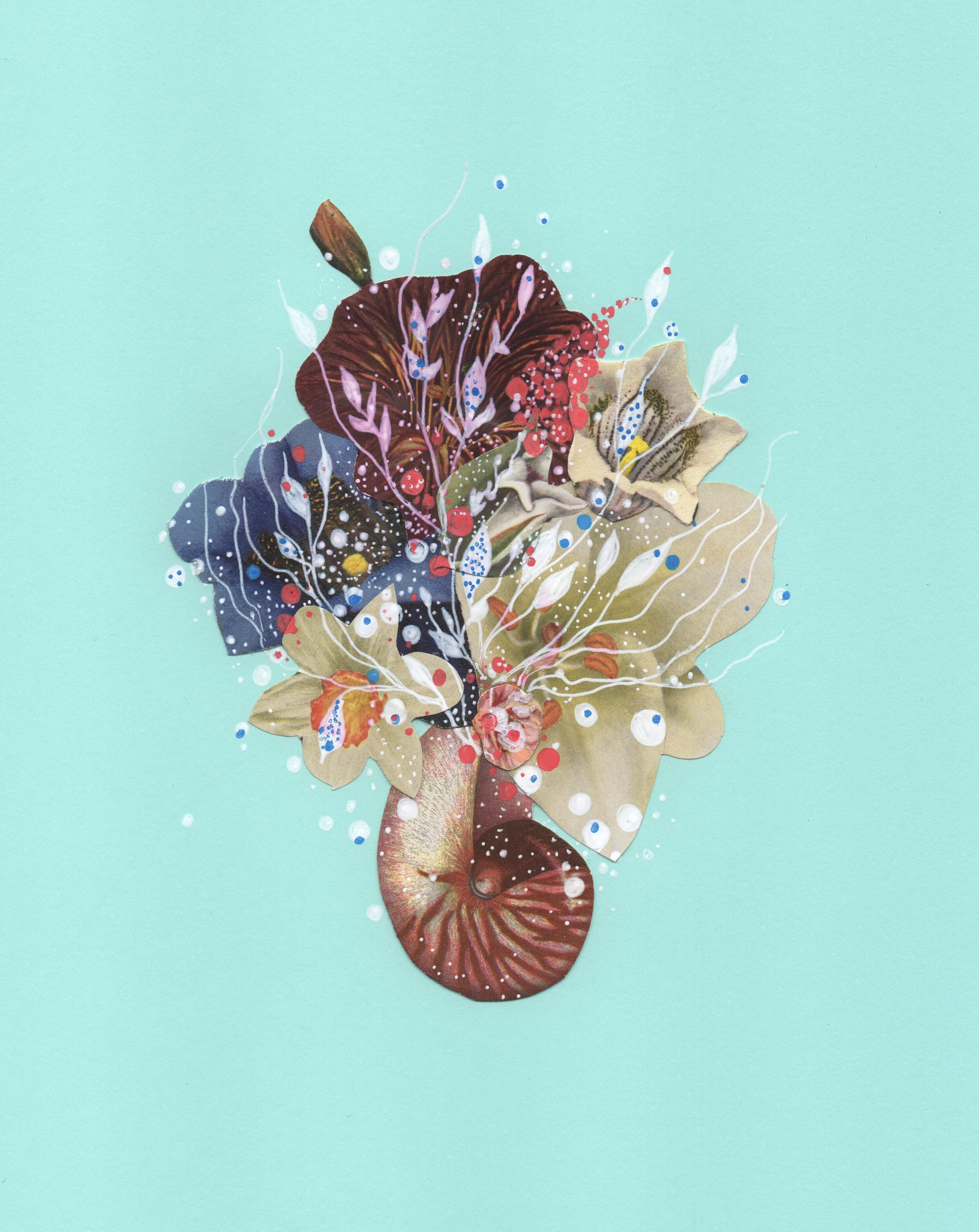 SeafoamNautilusJBrown (1).jpeg