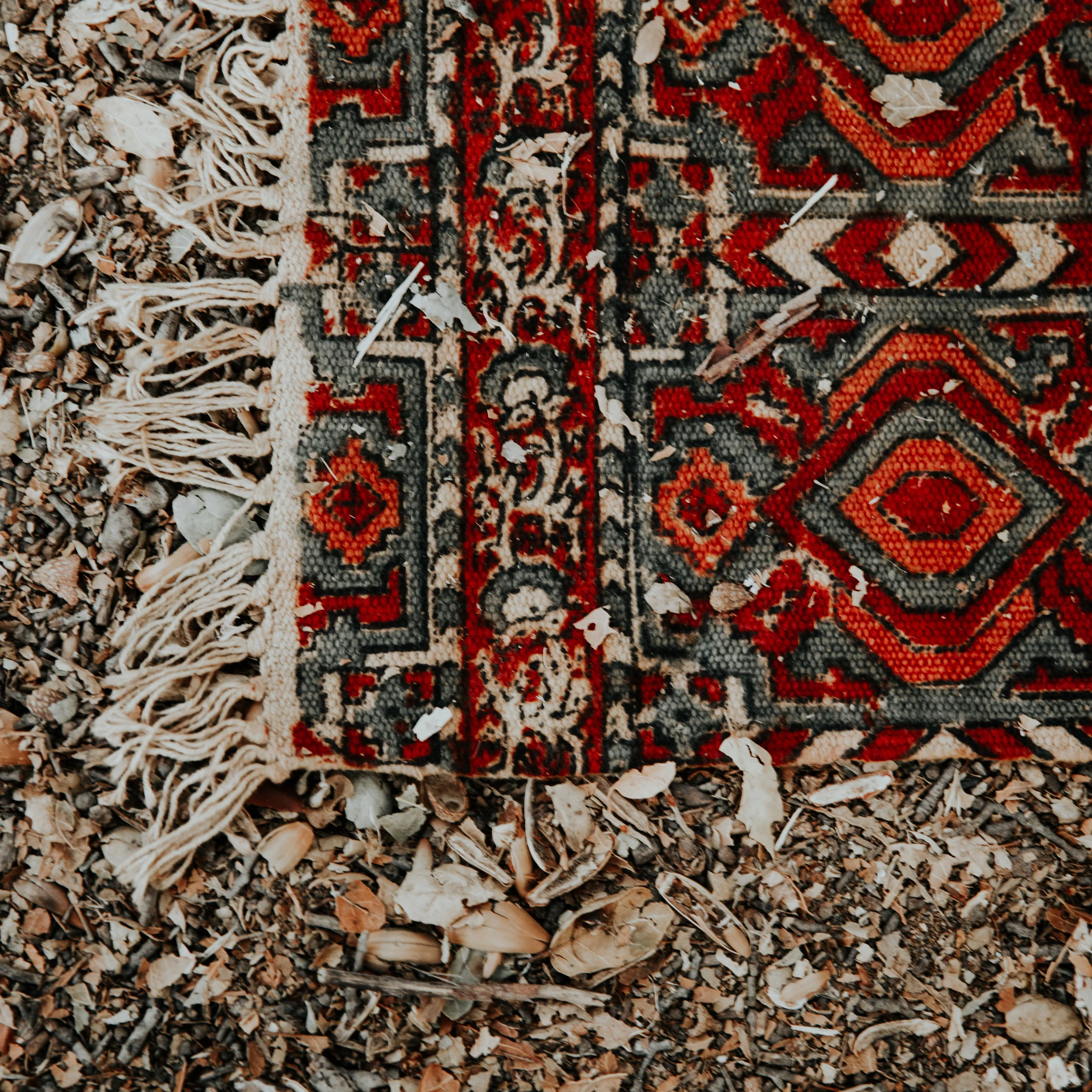 2Y9A7600.jpg