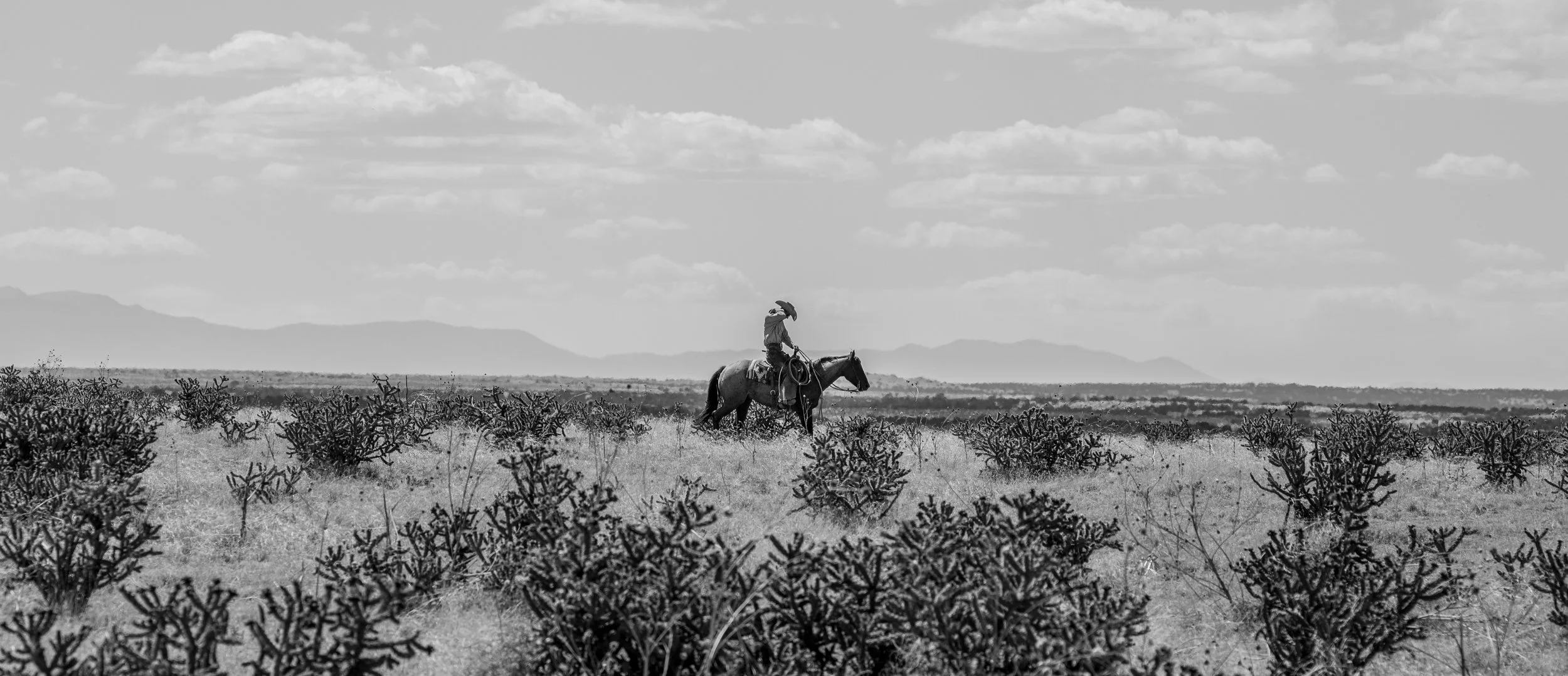 2018_05_24_047-3.jpg