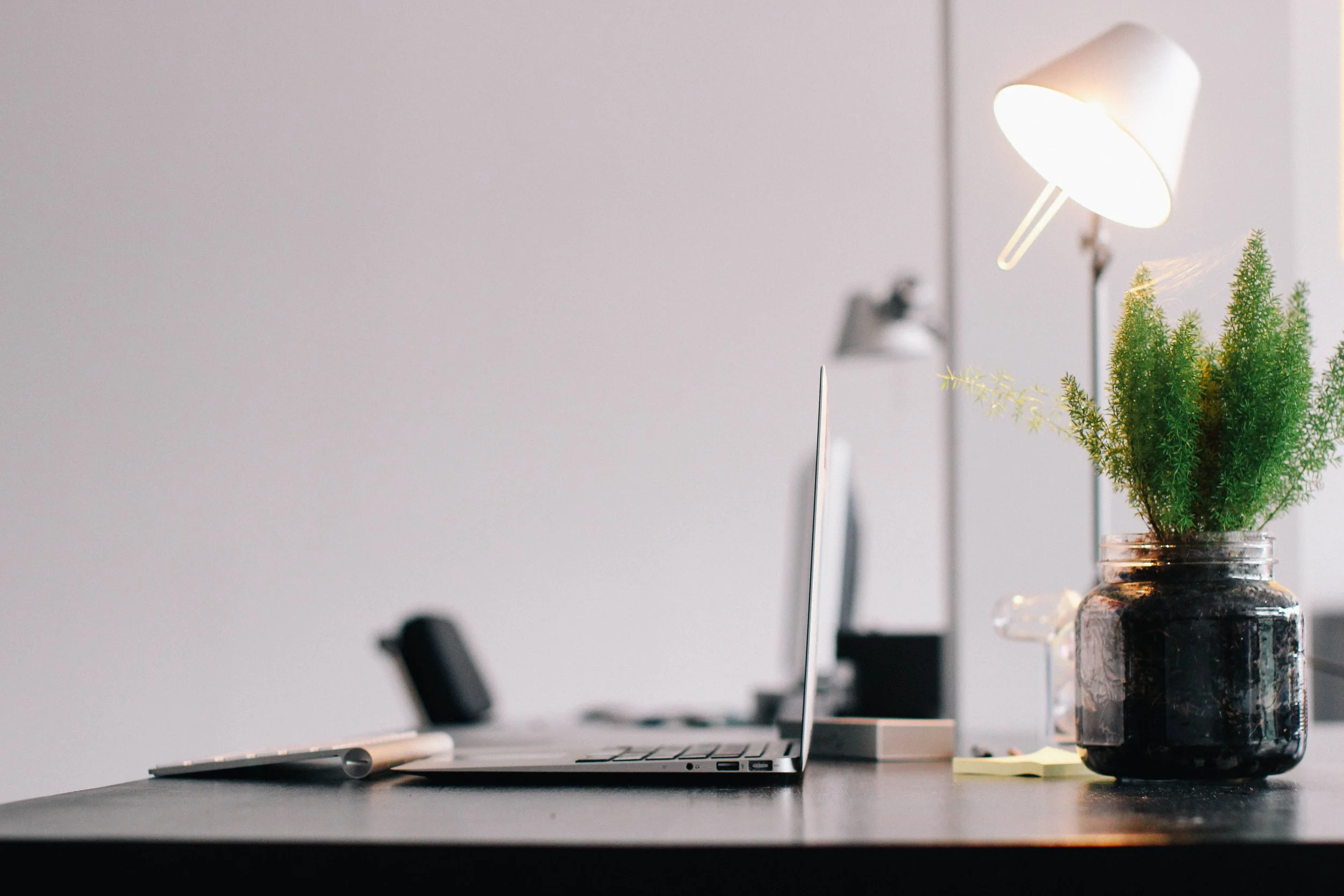 potential cover - fern and laptop.jpeg