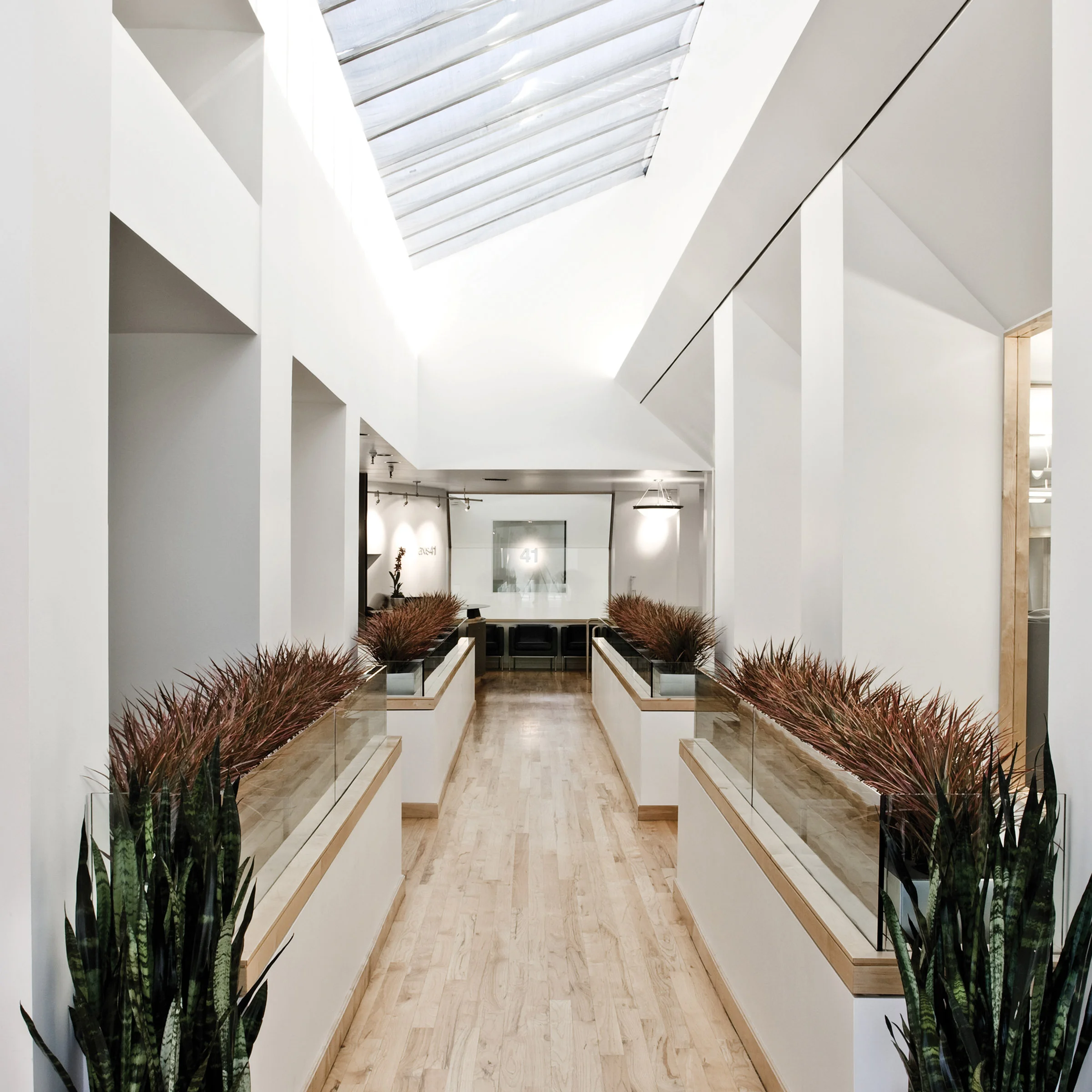 Advertising Agency Lobby