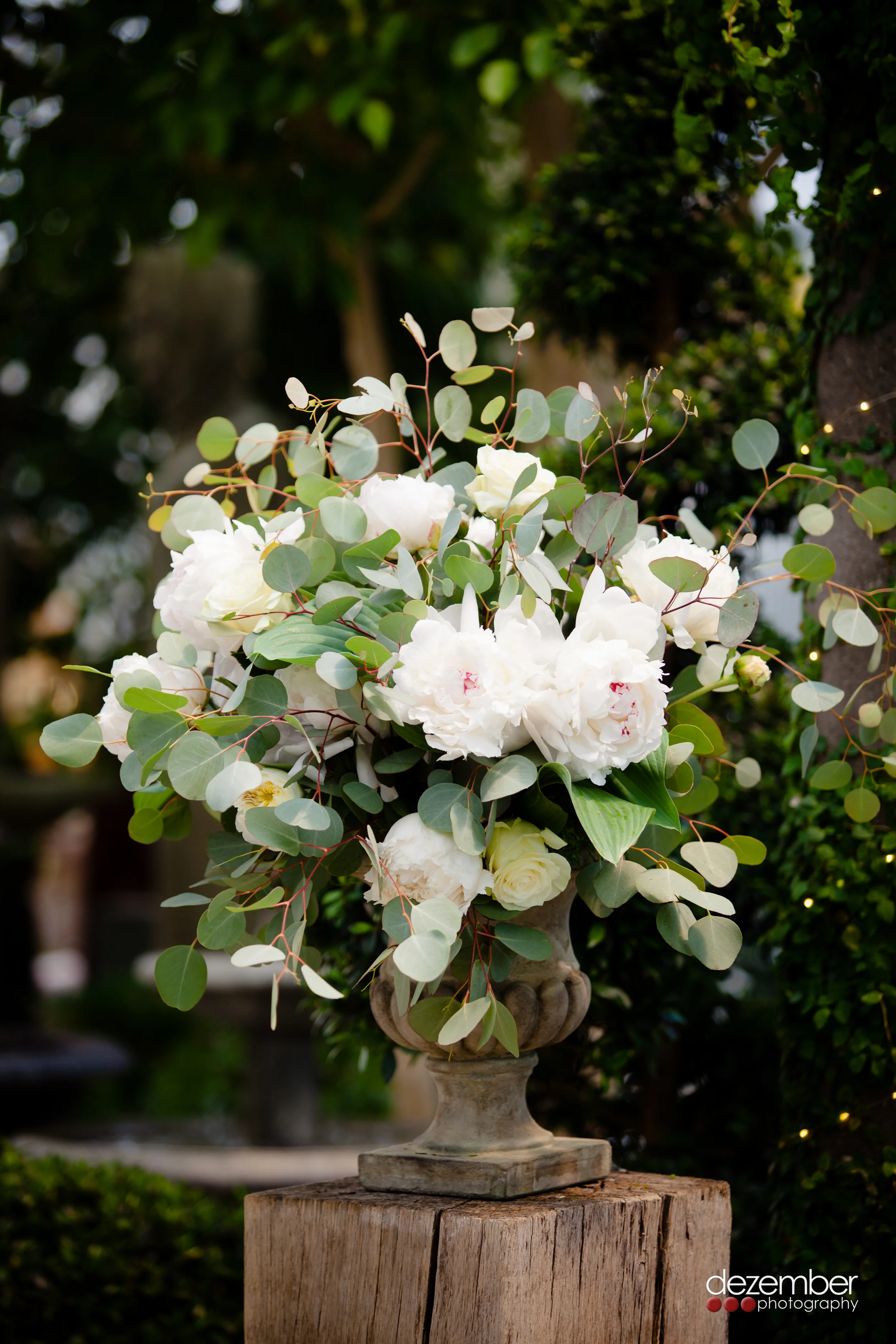 0582_C_Utah_Wedding_and_Commercial_Photographers_Dezember.jpg