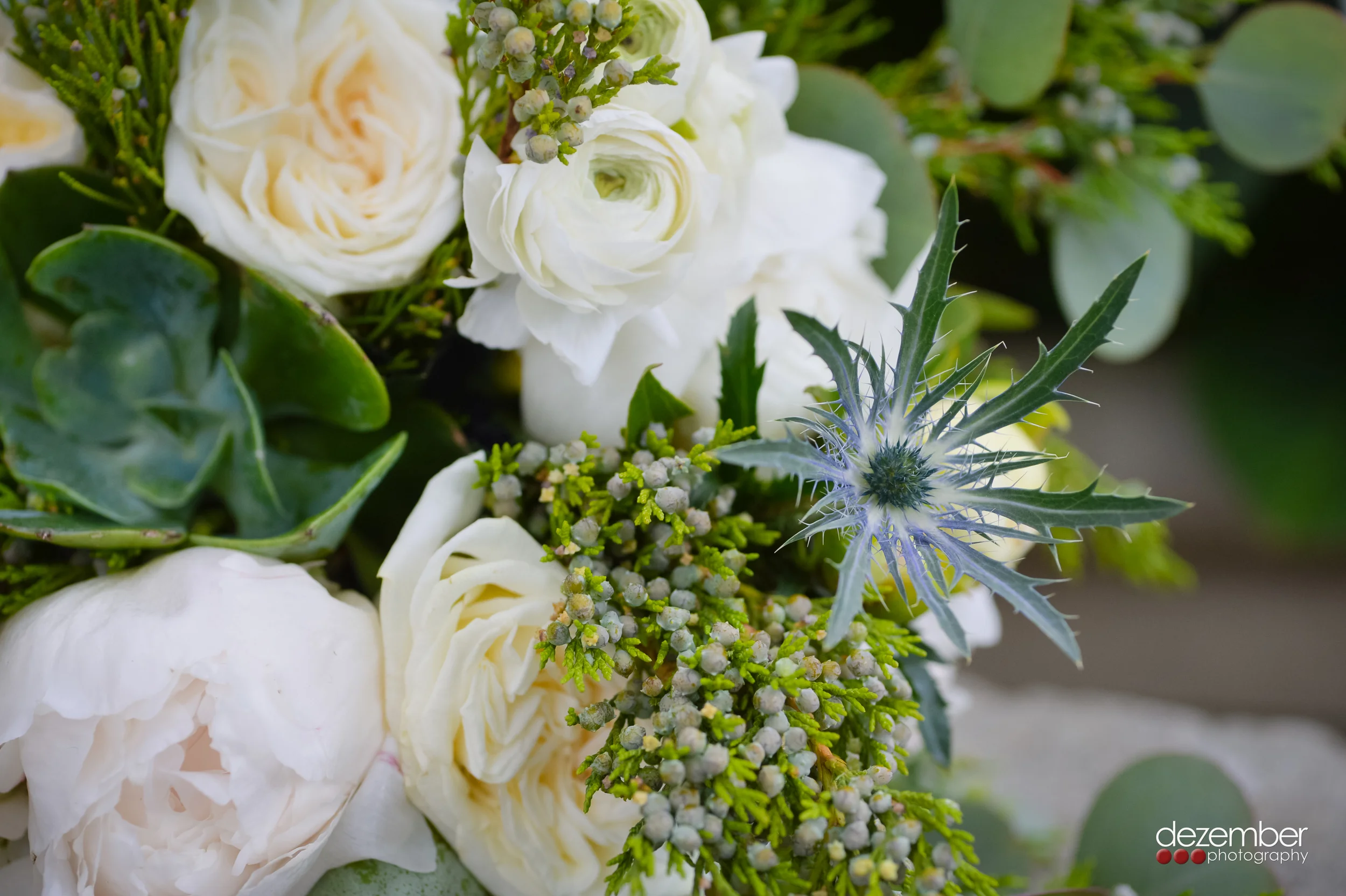 0500_C_Utah_Wedding_and_Commercial_Photographers_Dezember.jpg